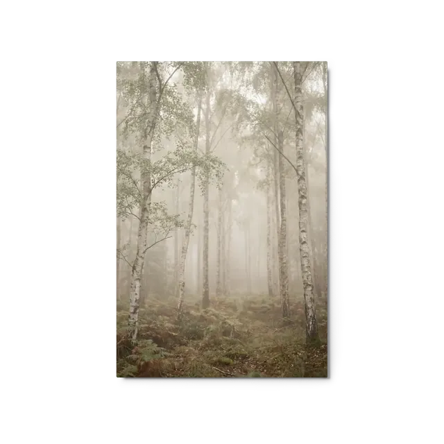 Misty Birchwood Path | Art Print