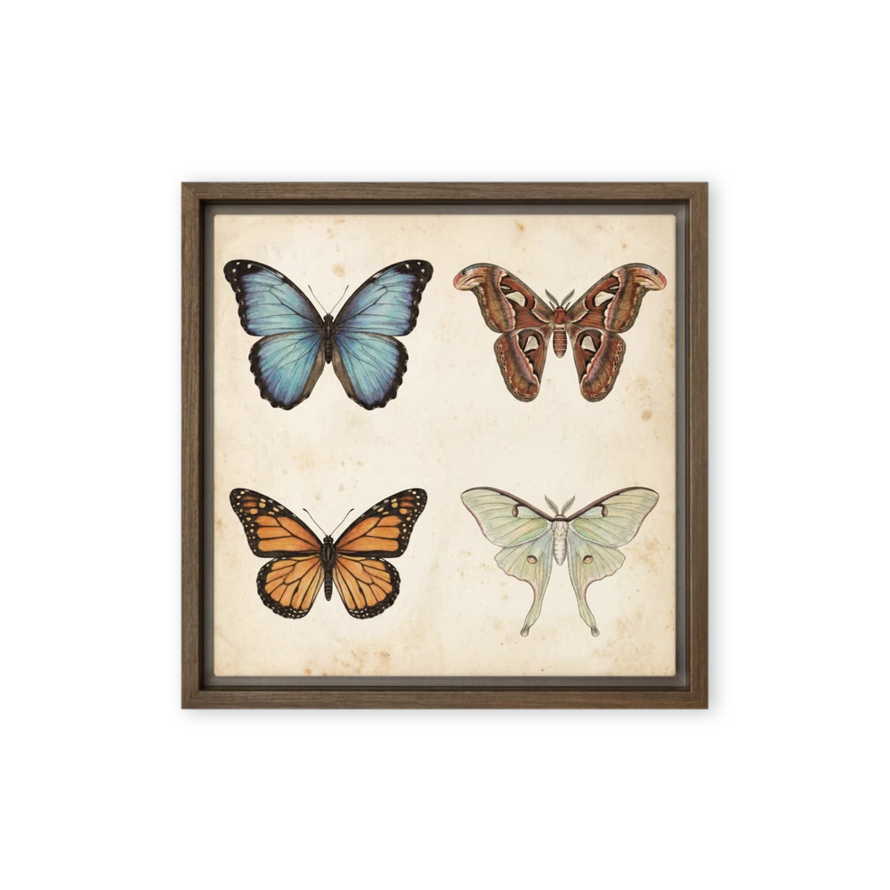 Vintage Butterfly and Moth Illustrations | Art Print