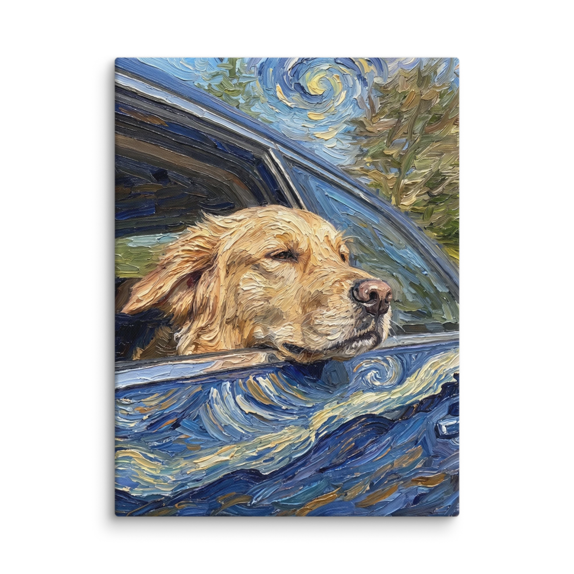Pet Portrait — Night Reverie