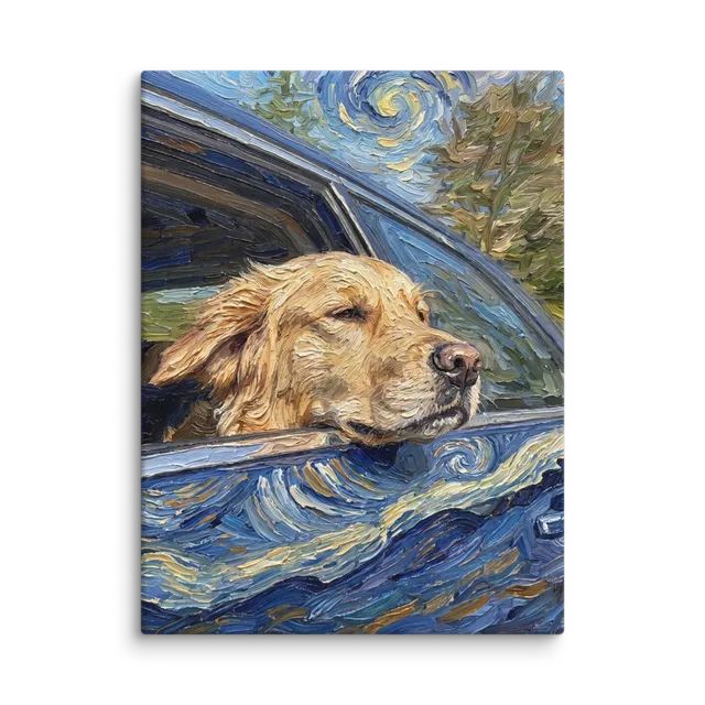 Pet Portrait — Night Reverie