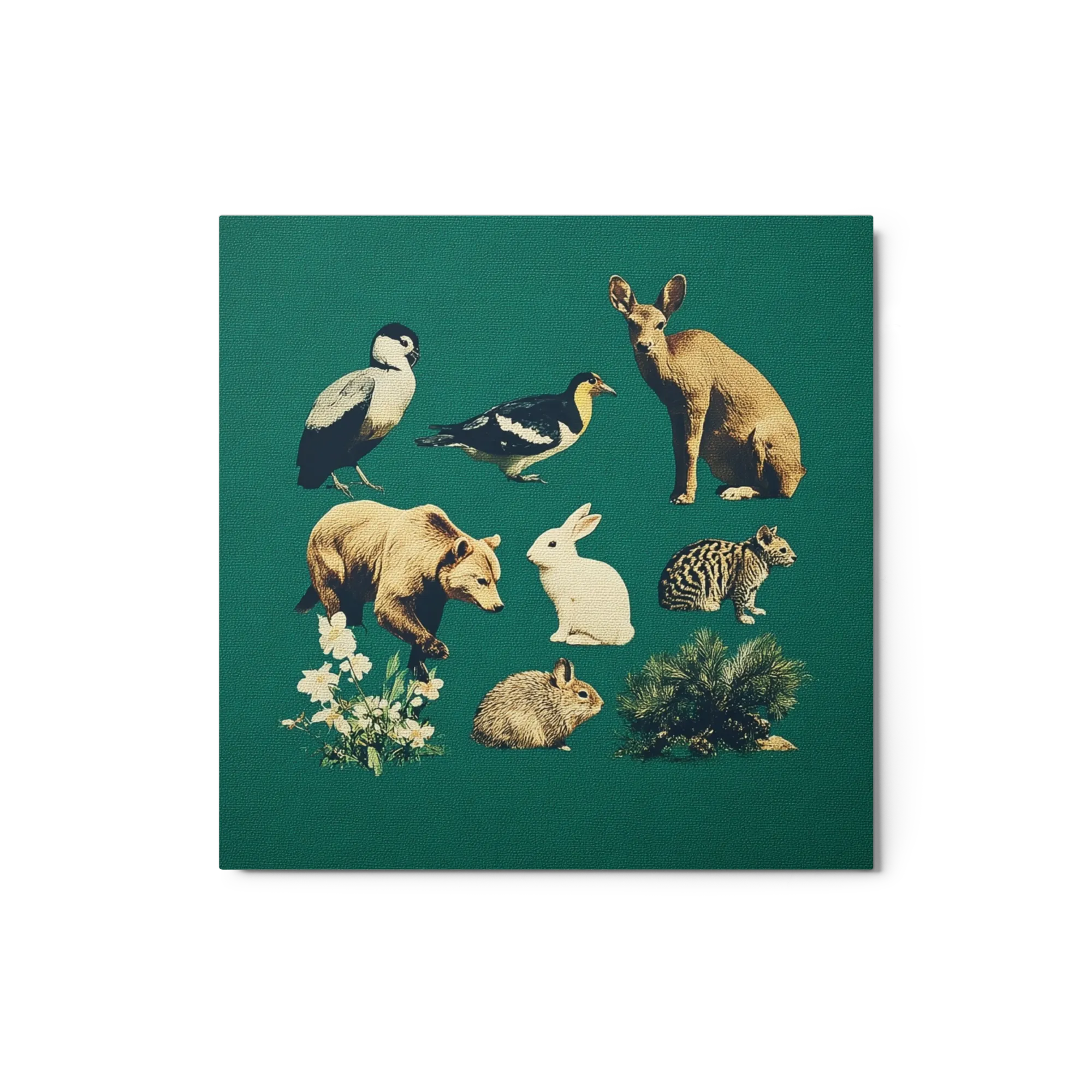 Forest Menagerie