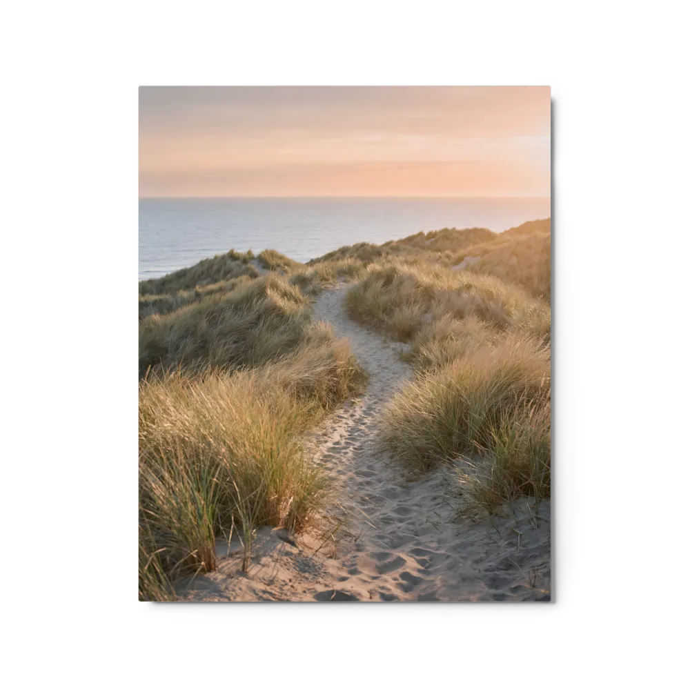 Coastal Dune Pathway at Sunset