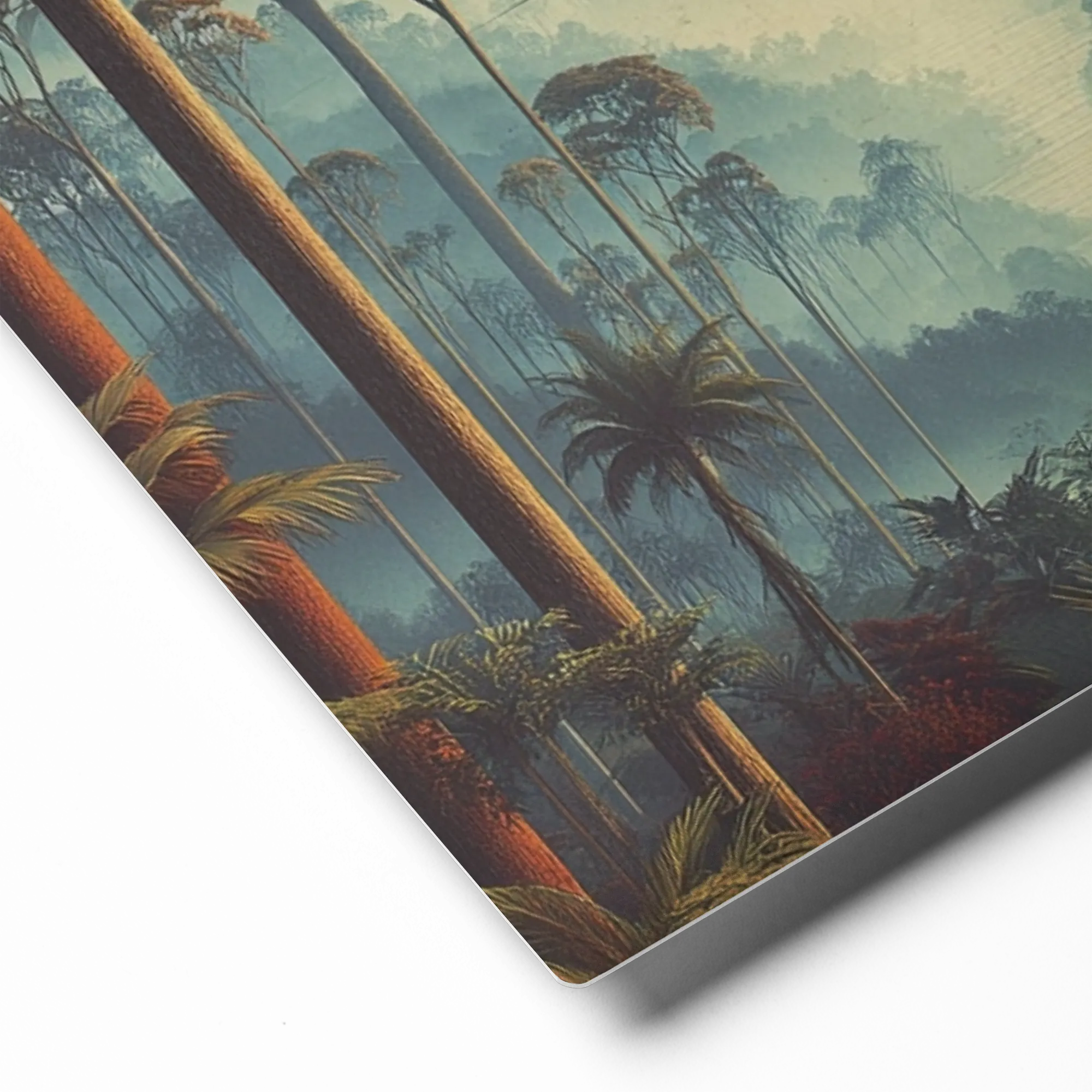 Misty Canopy 
 Canvas | 32″x 32″