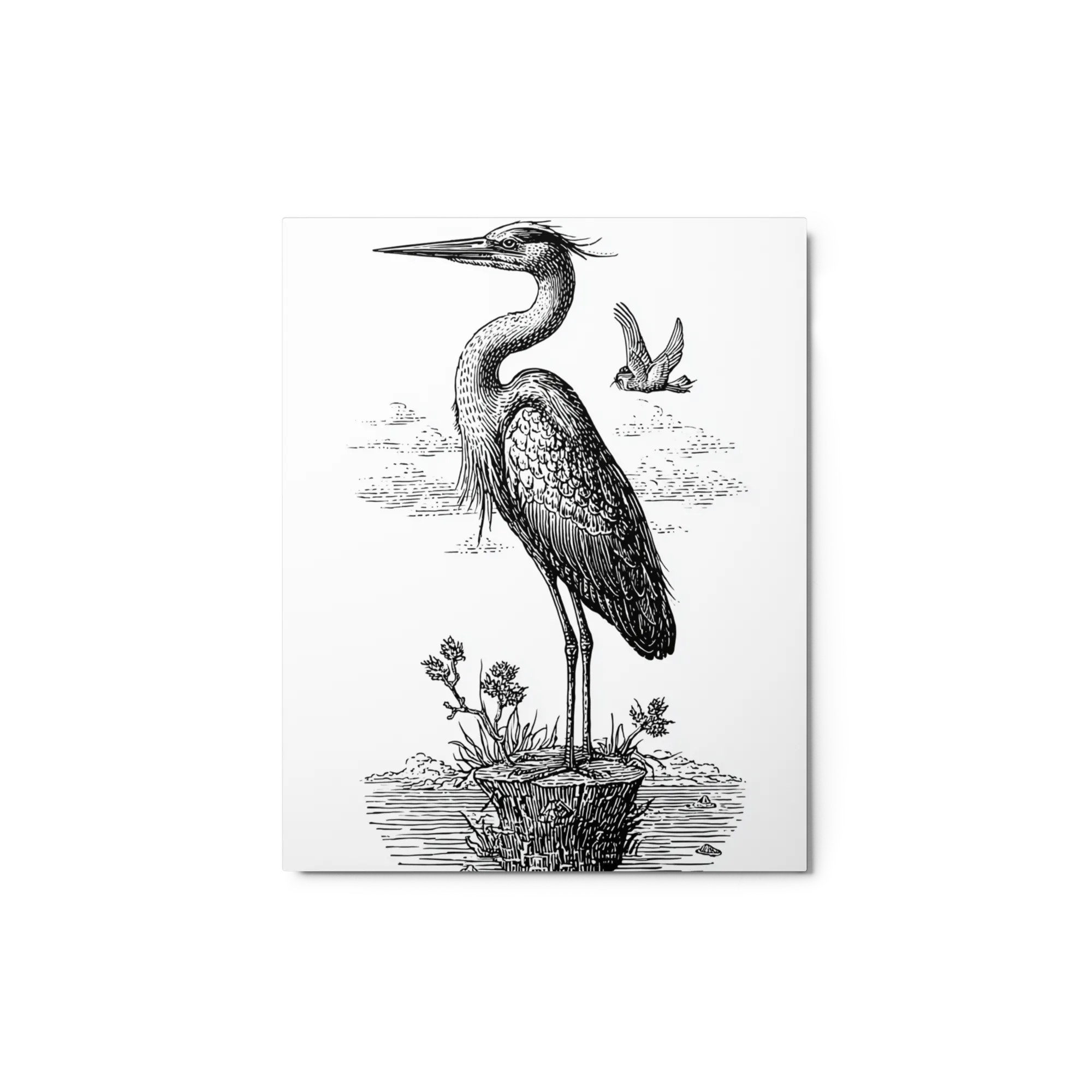 The Watchful Heron