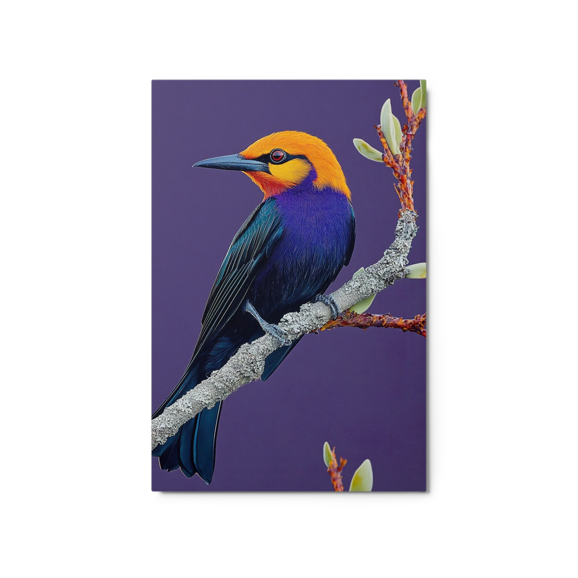 Vibrant Bird on Branch