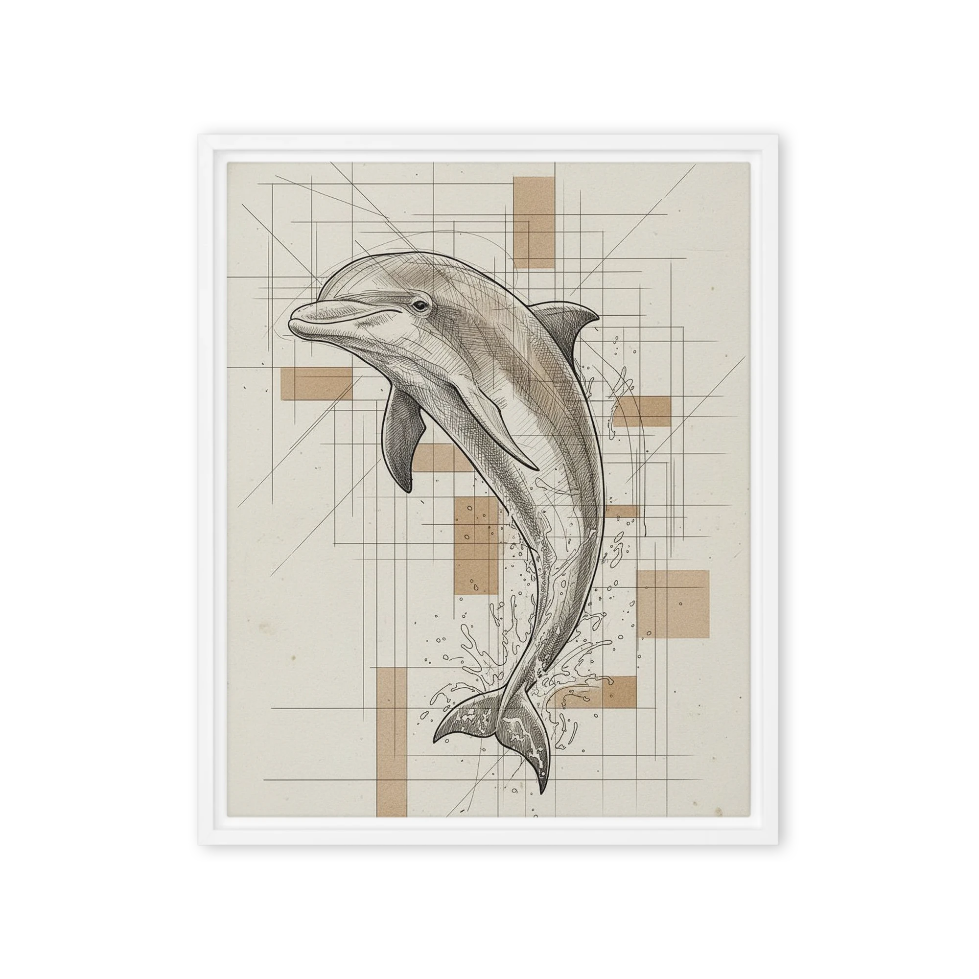 Dolphin Study