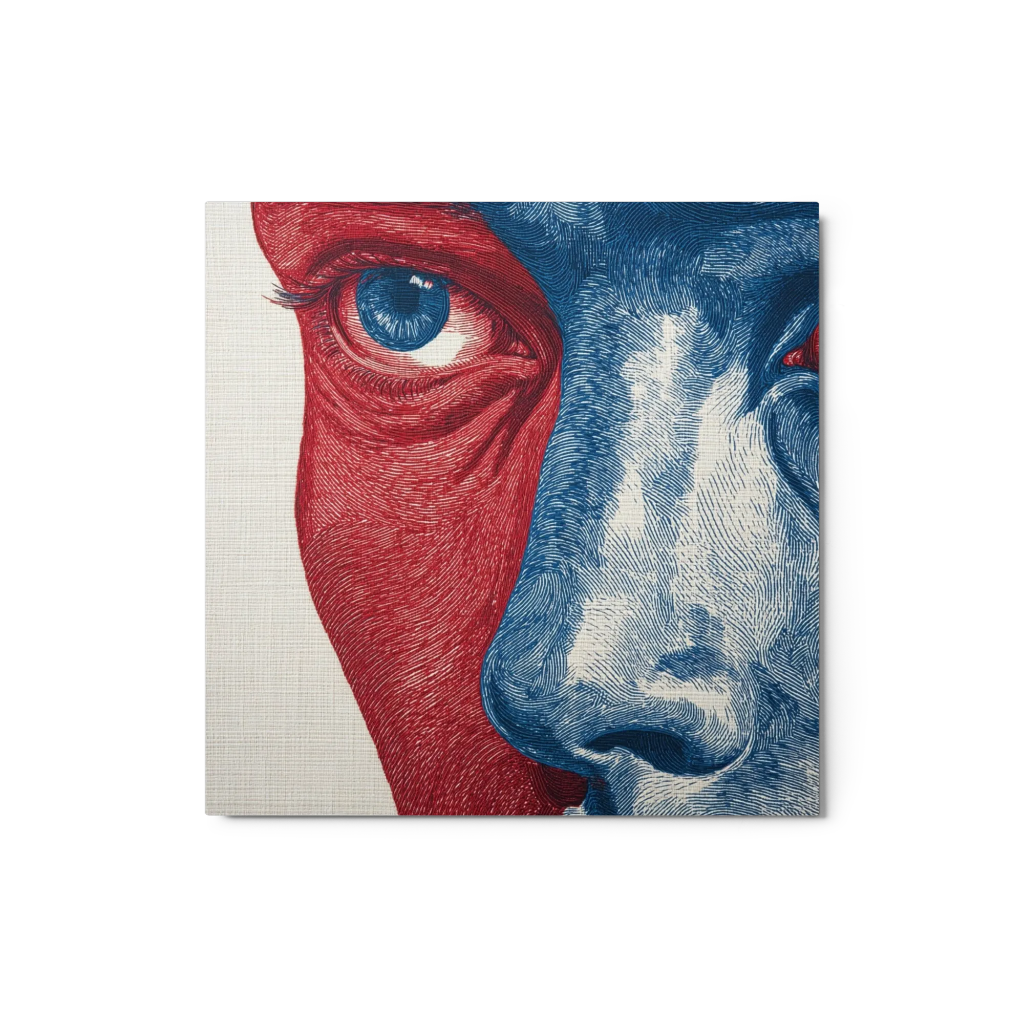Red and Blue Split Face
