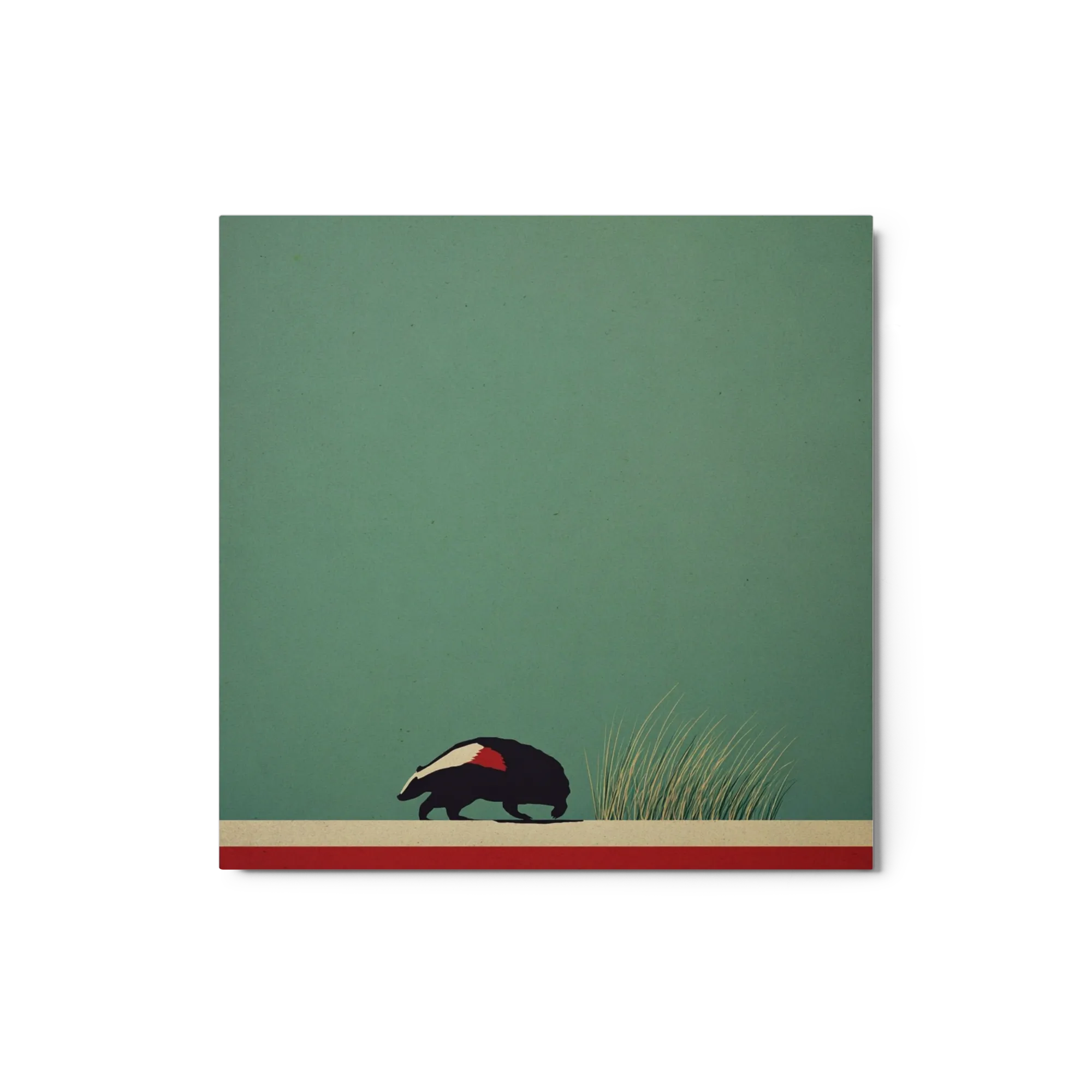 Badger in Grass