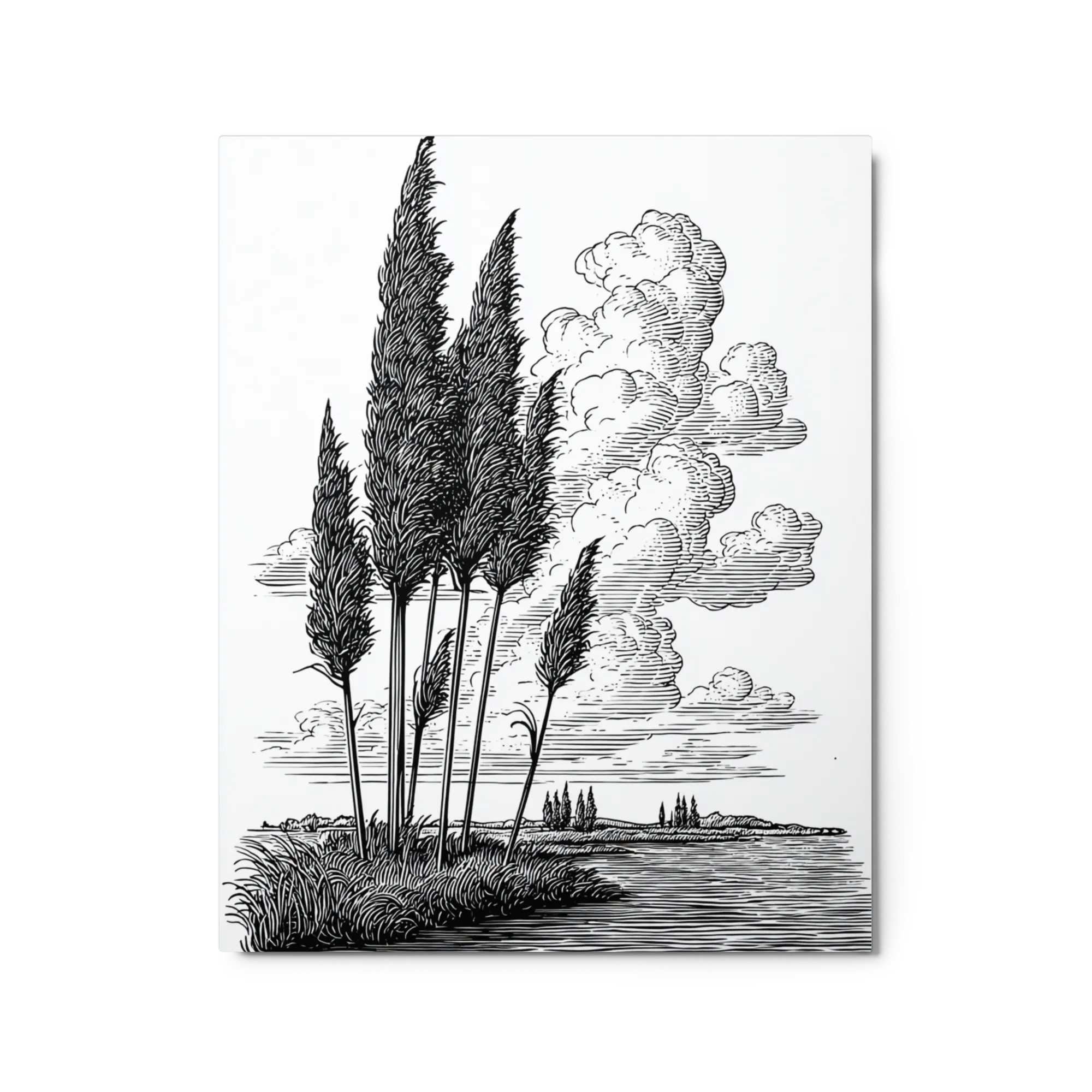 Riverside Reeds