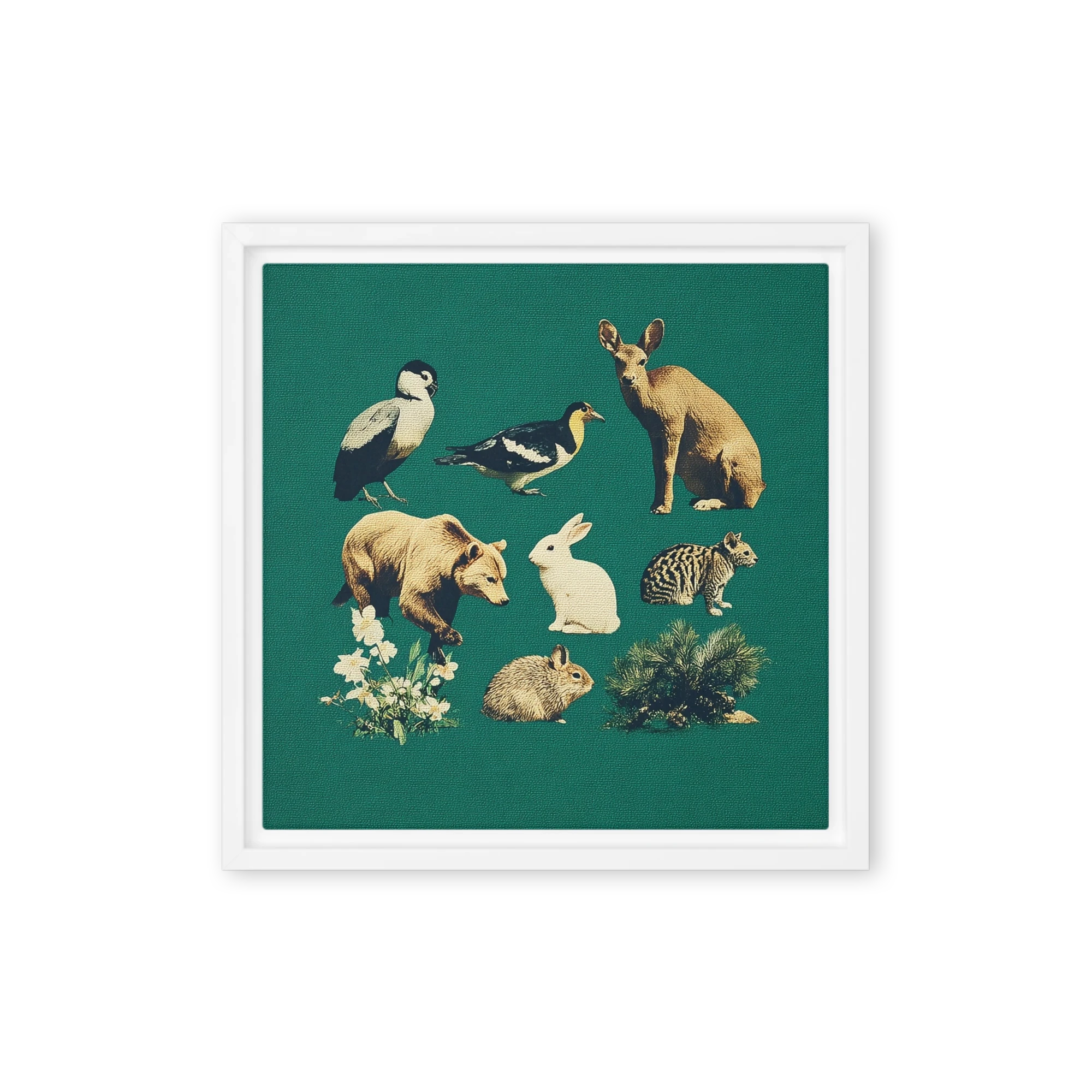Wild Fauna Collection