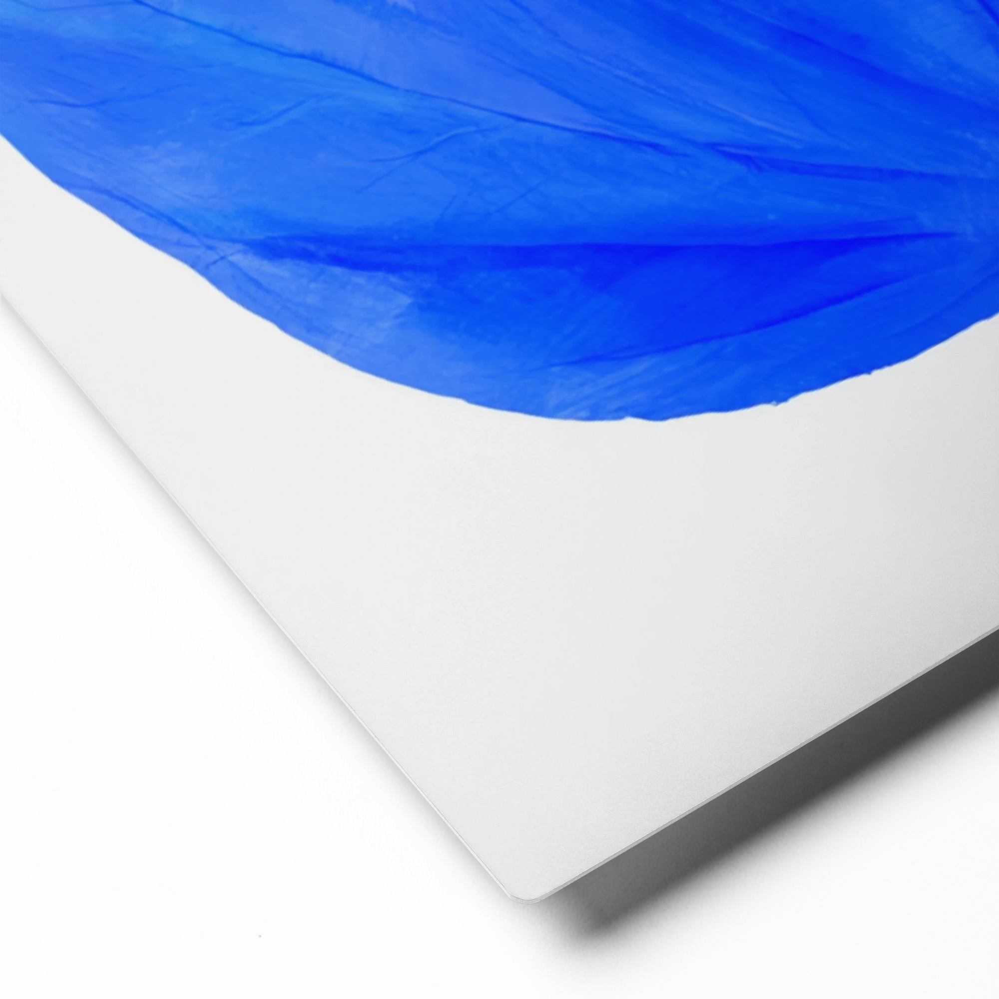 Cobalt Petal | Art Print