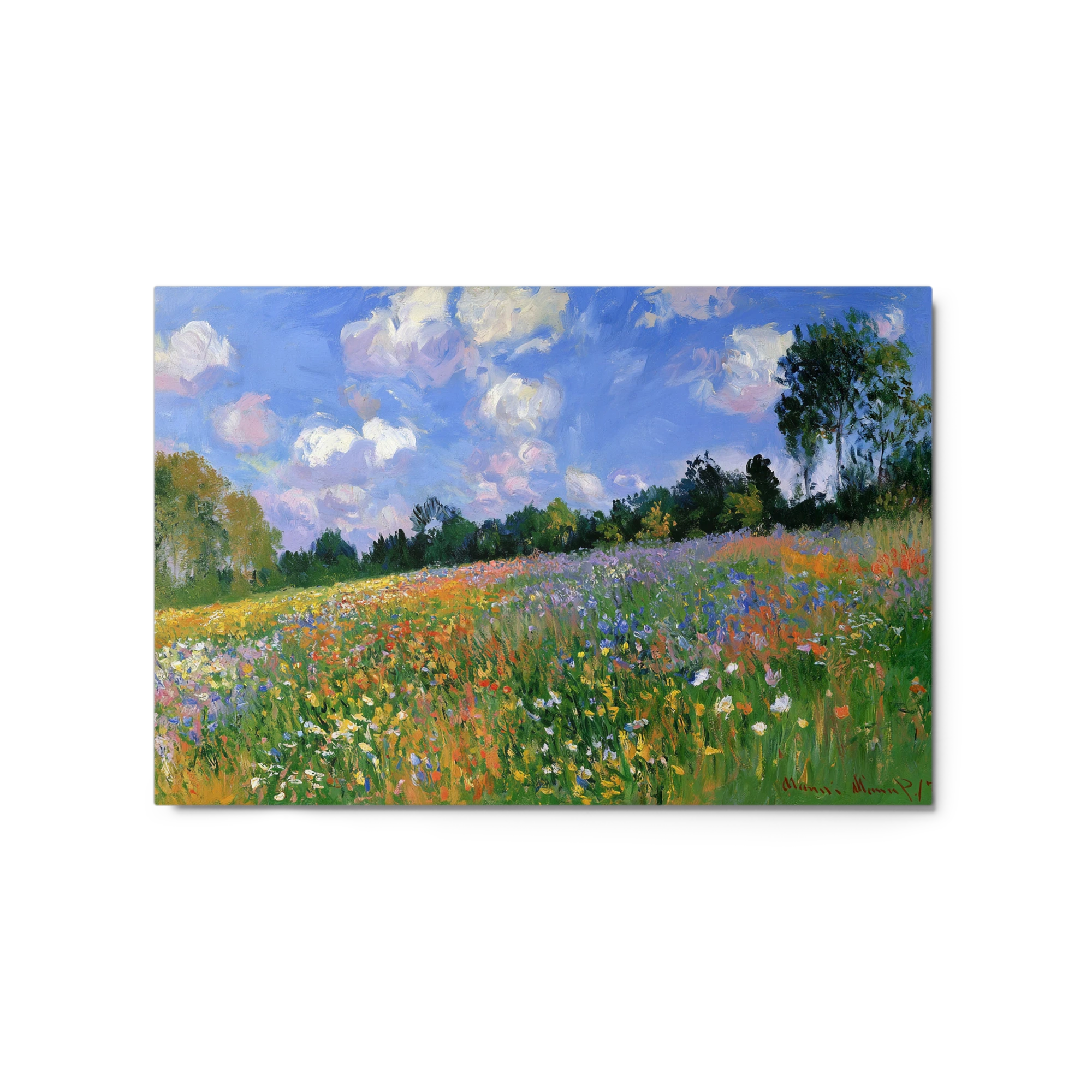 Sunlit Wildflower Meadow