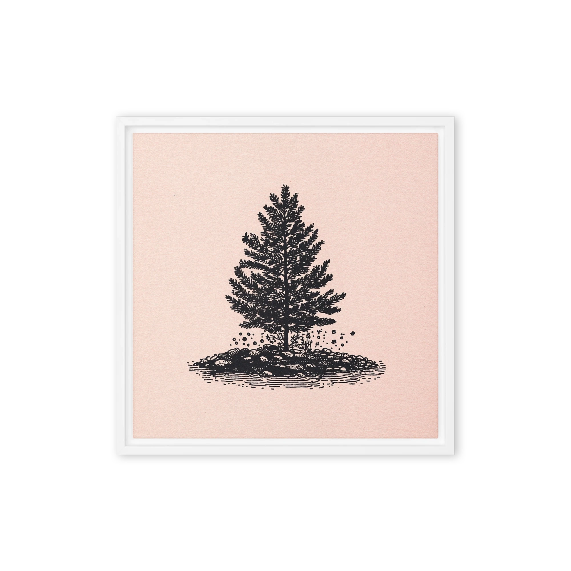 Solitary Pine