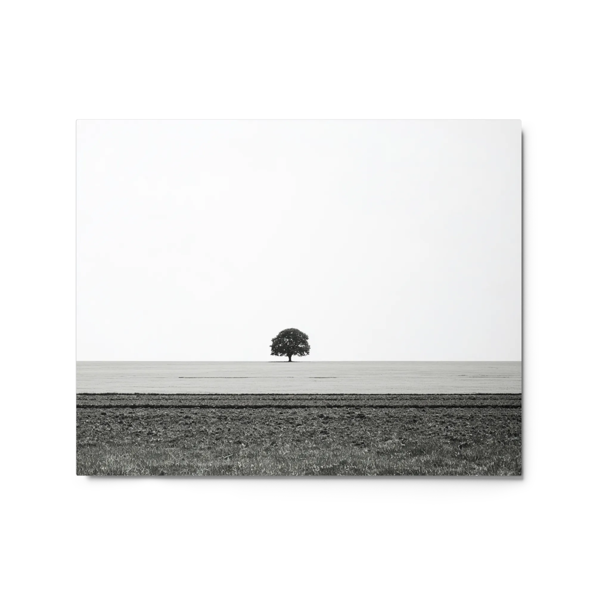 The Solitary Tree