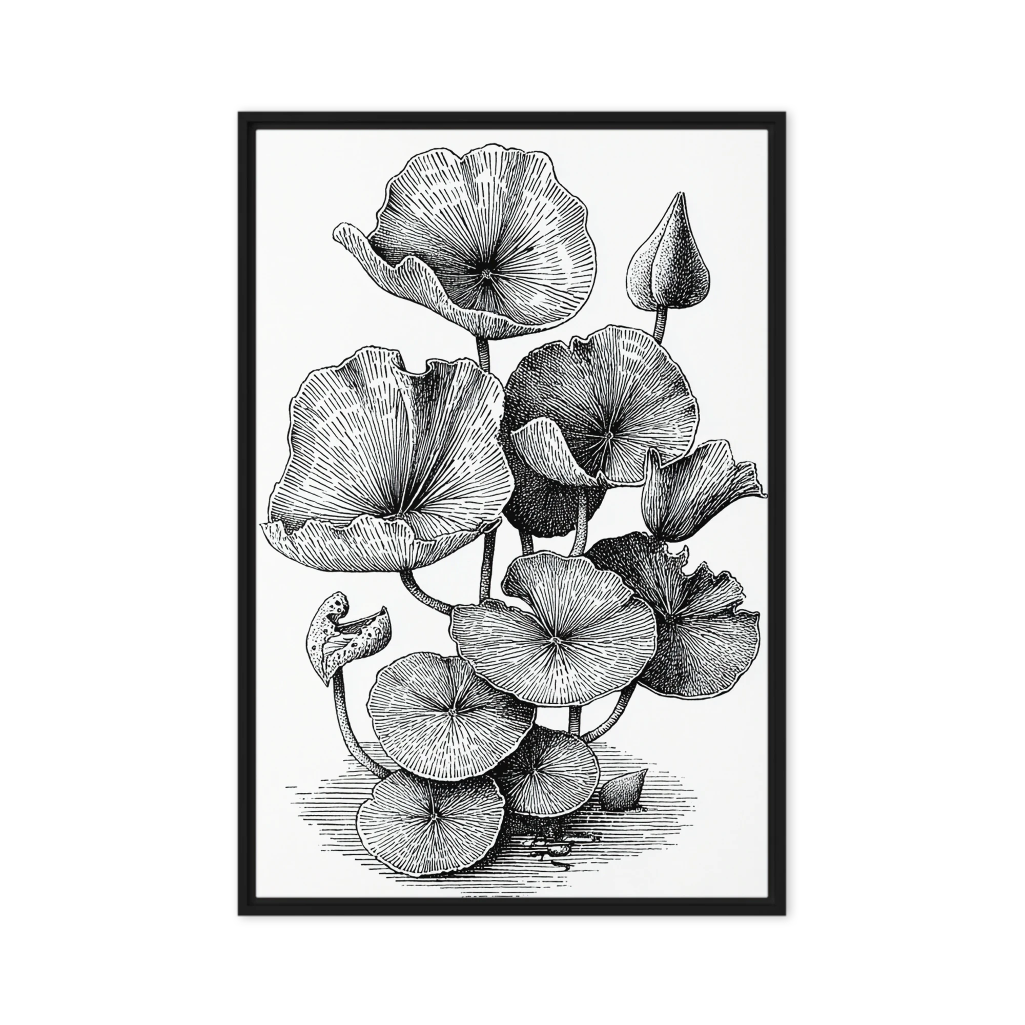 Lily Pad Engraving | Art Print