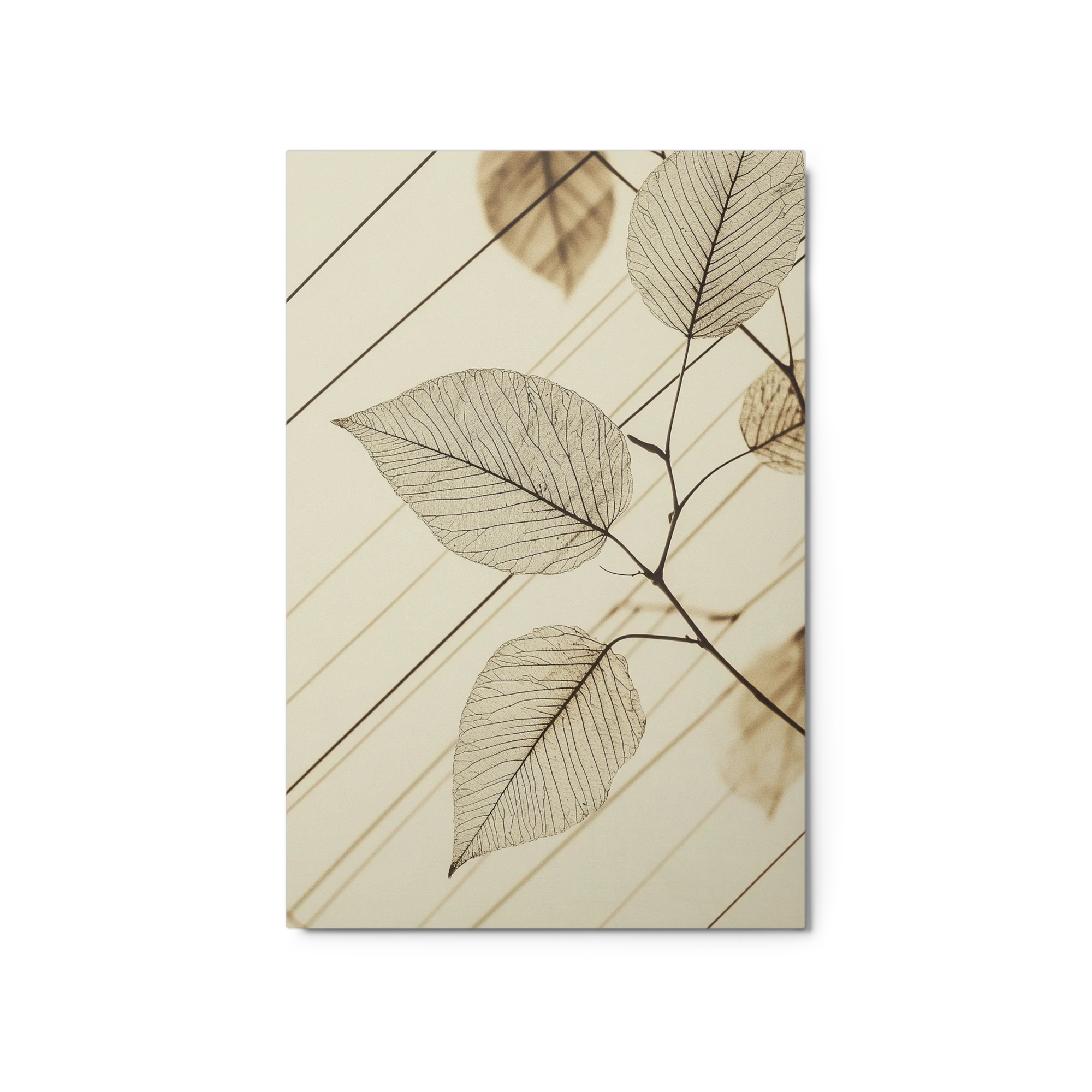 Minimalist Leaf Photography