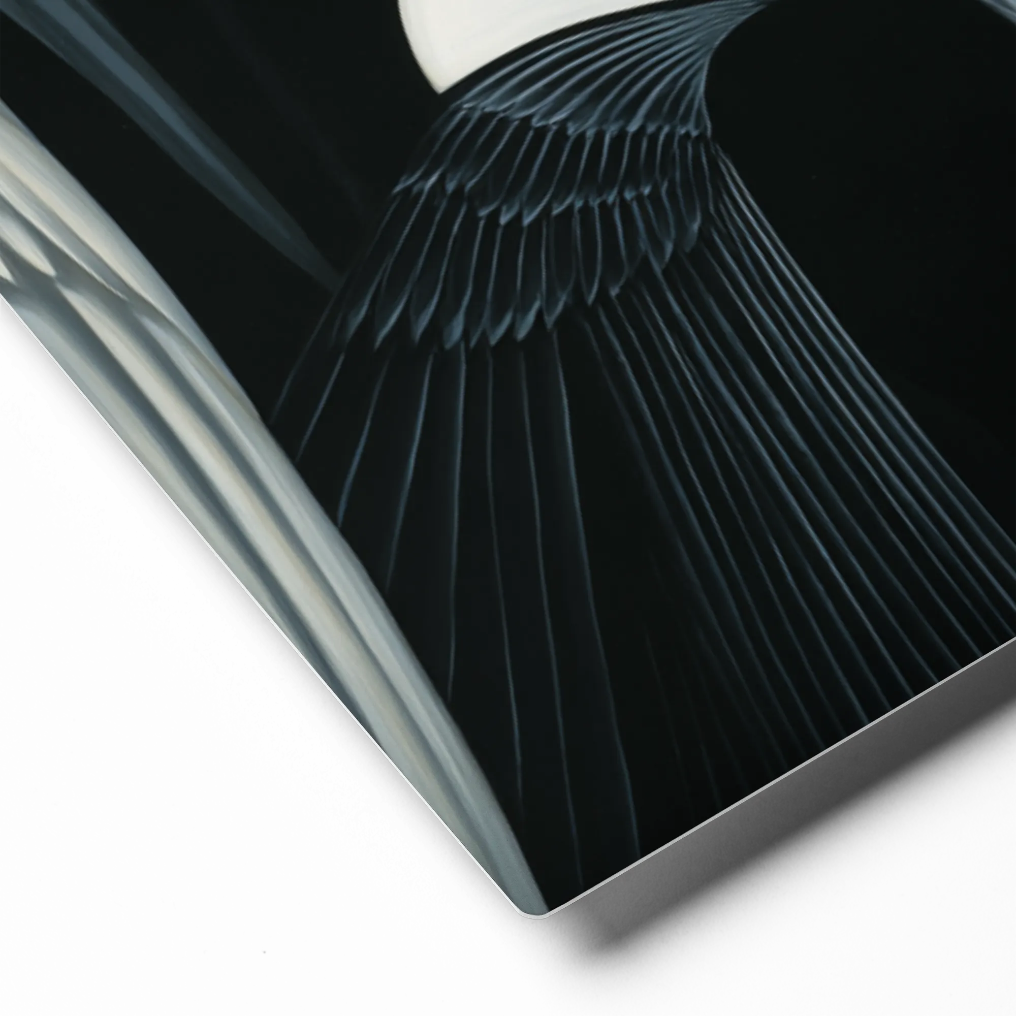 The Swan Masquerade 
 Metal Print | 16″x 20″