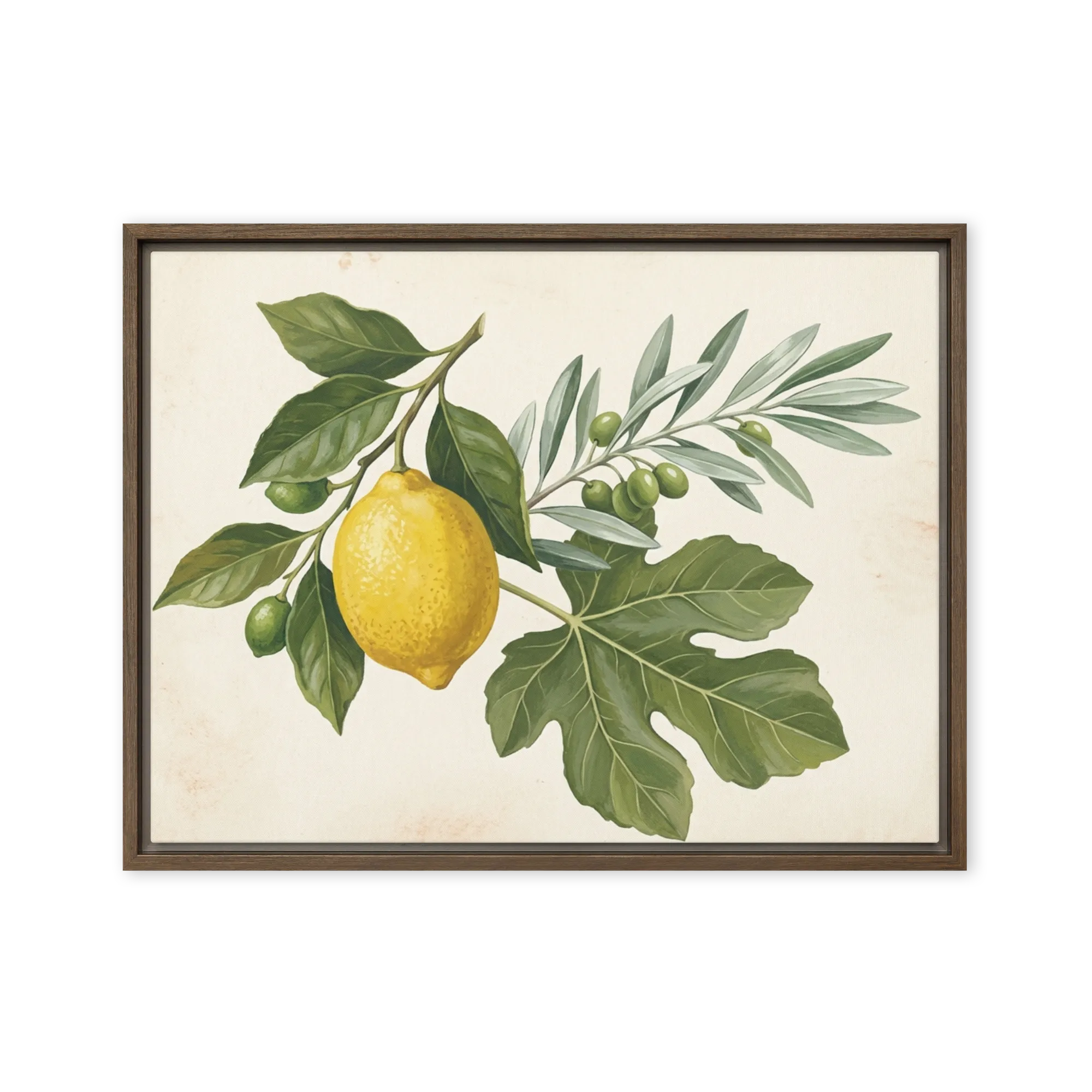 Mediterranean Harvest 
 Metal Print | 11″x 14″