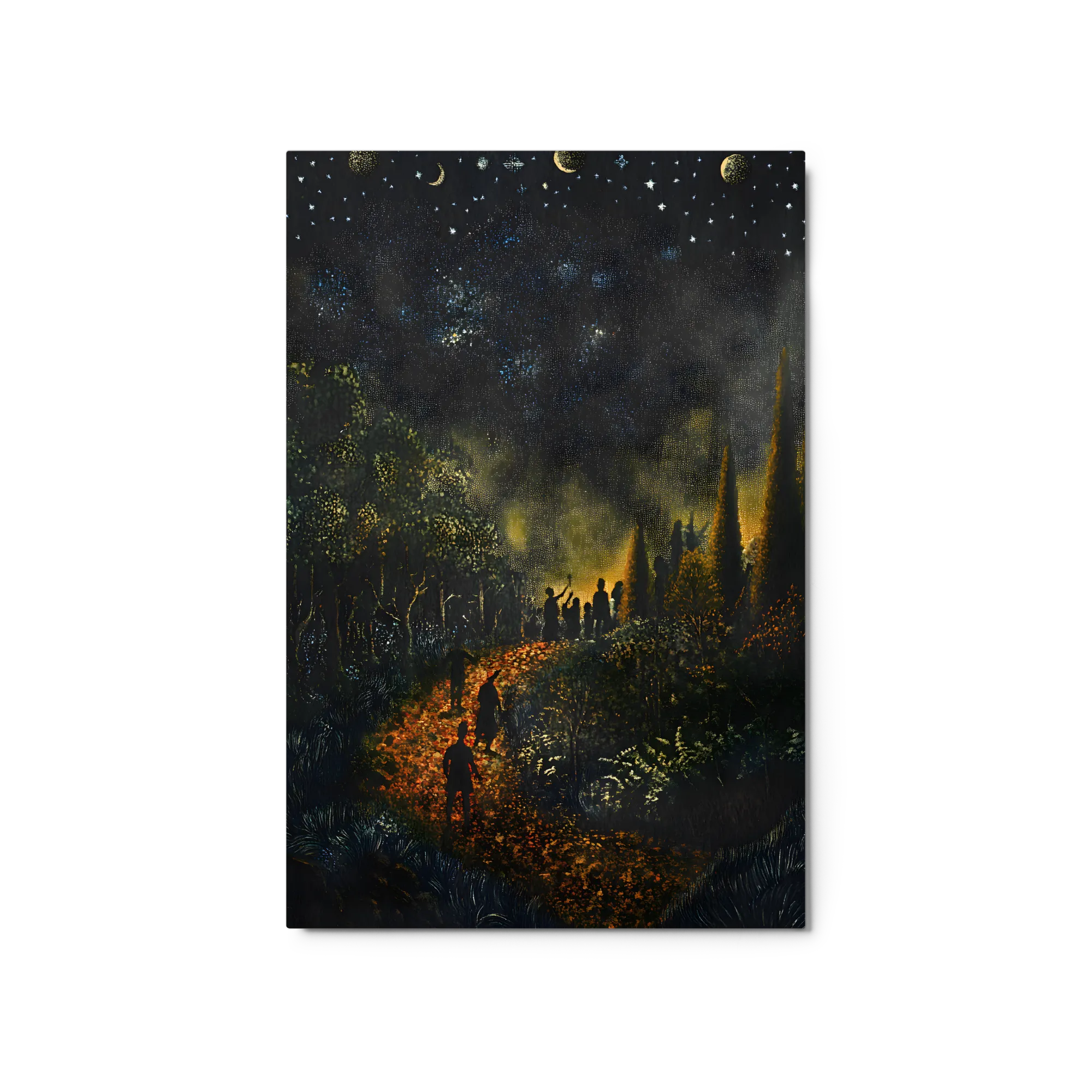 Viaggio Stellato nella Foresta
