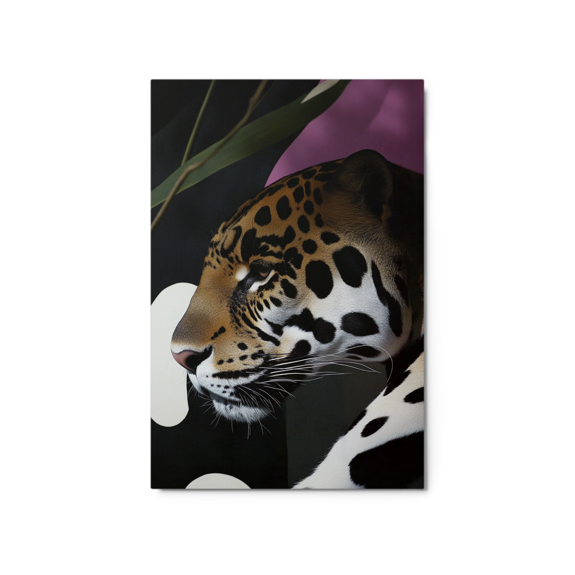 The Jungle Gaze