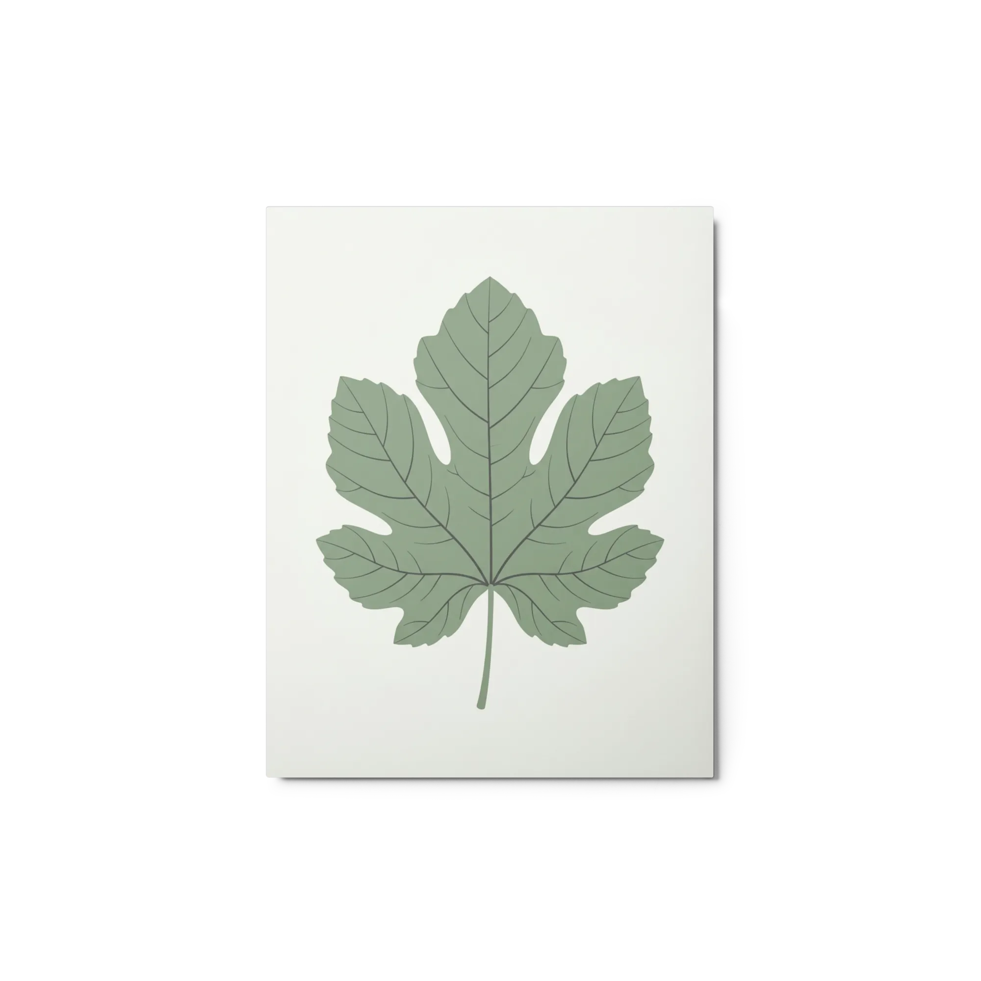 Fig Leaf Study