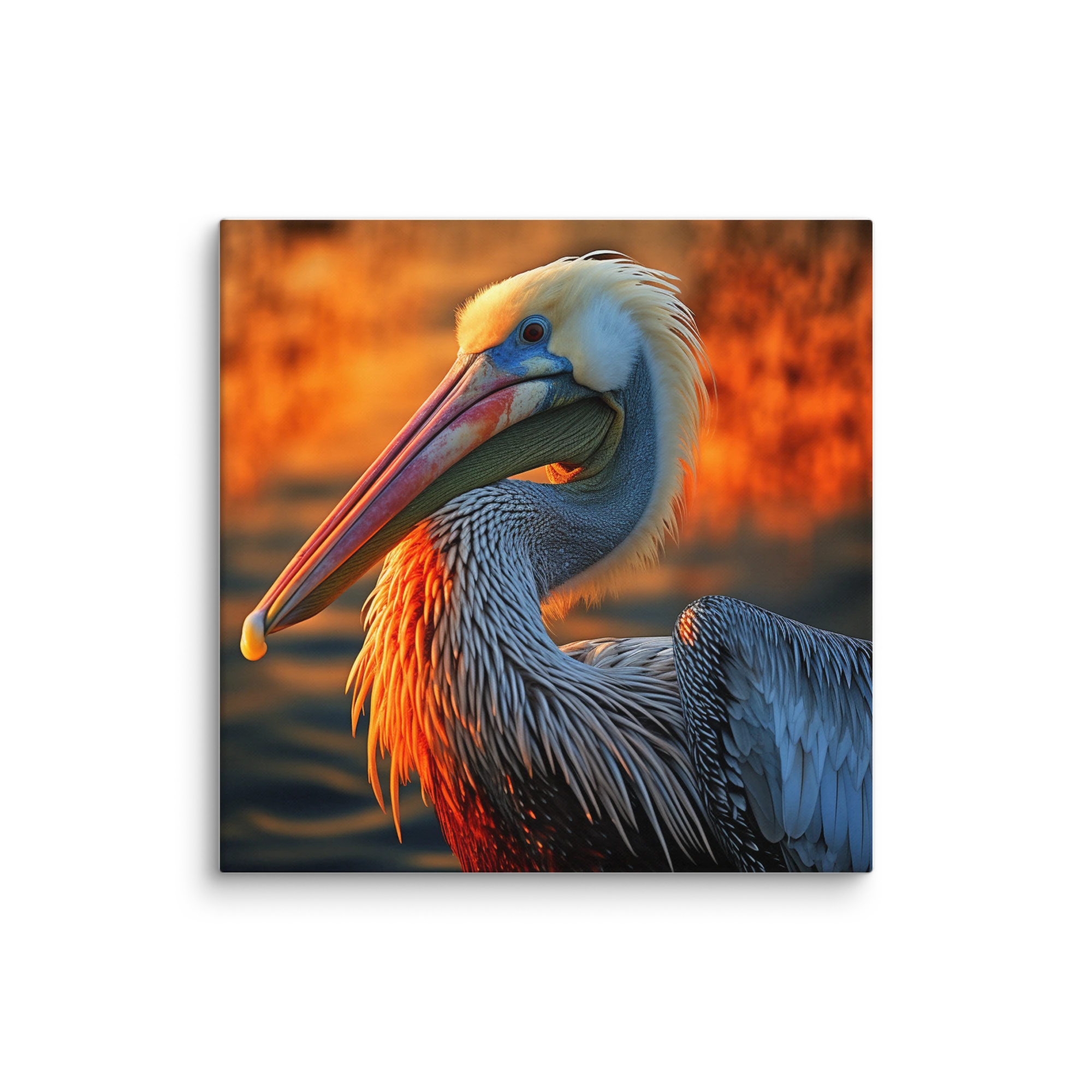 Pelican Portrait at Sunset