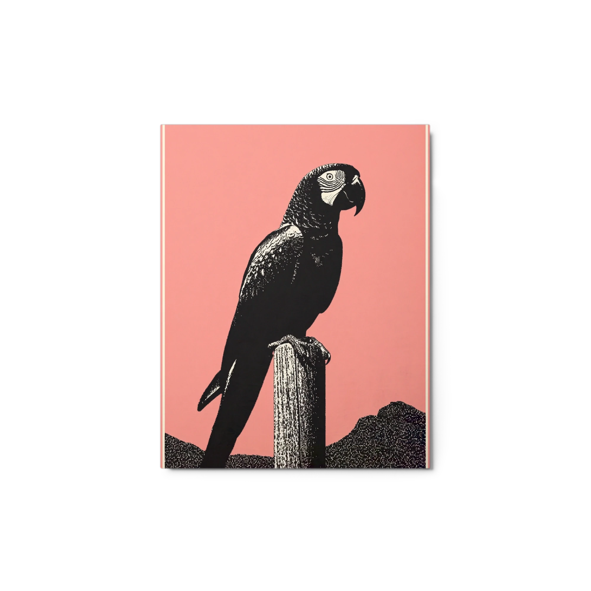 Black Macaw on Pink