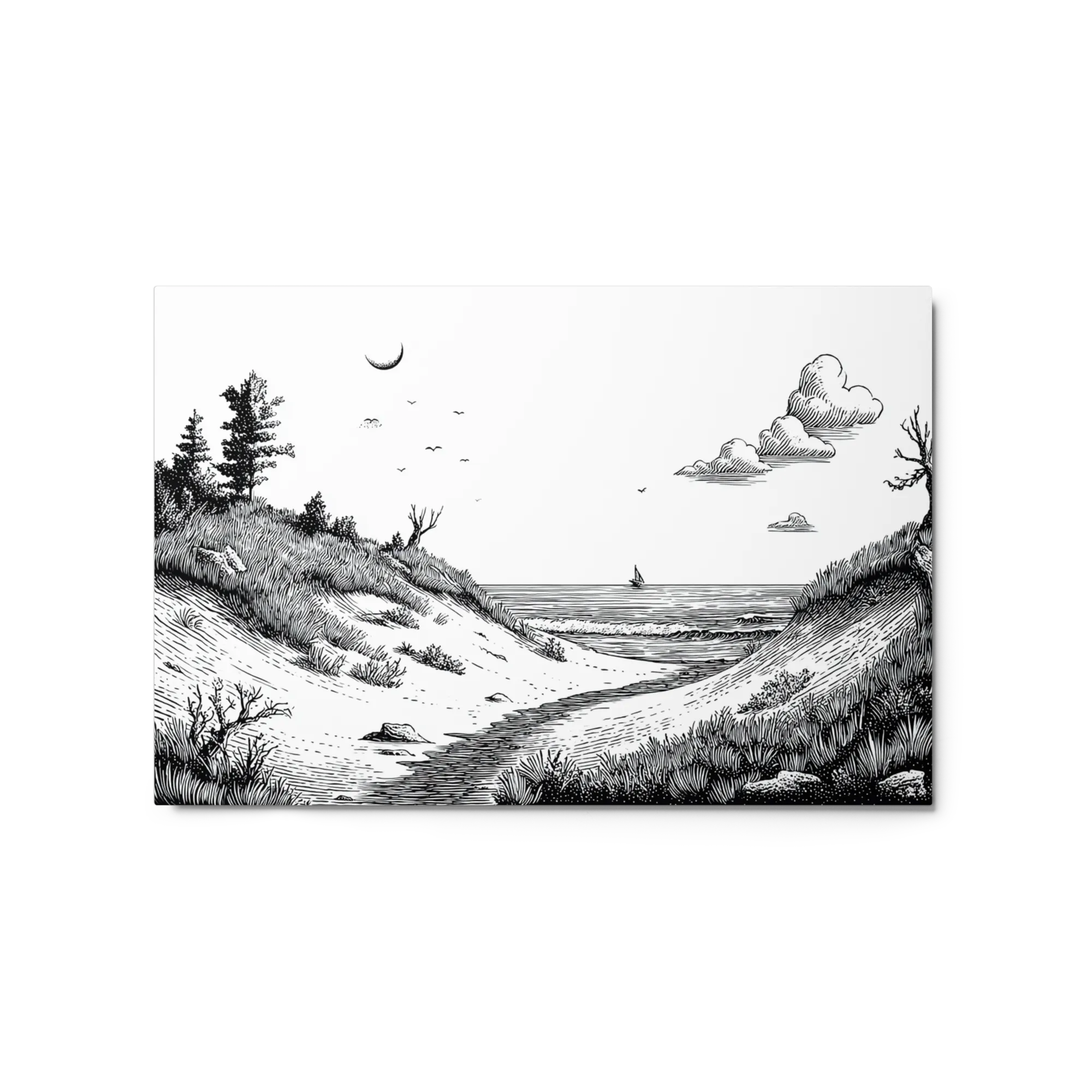 Path to the Sea