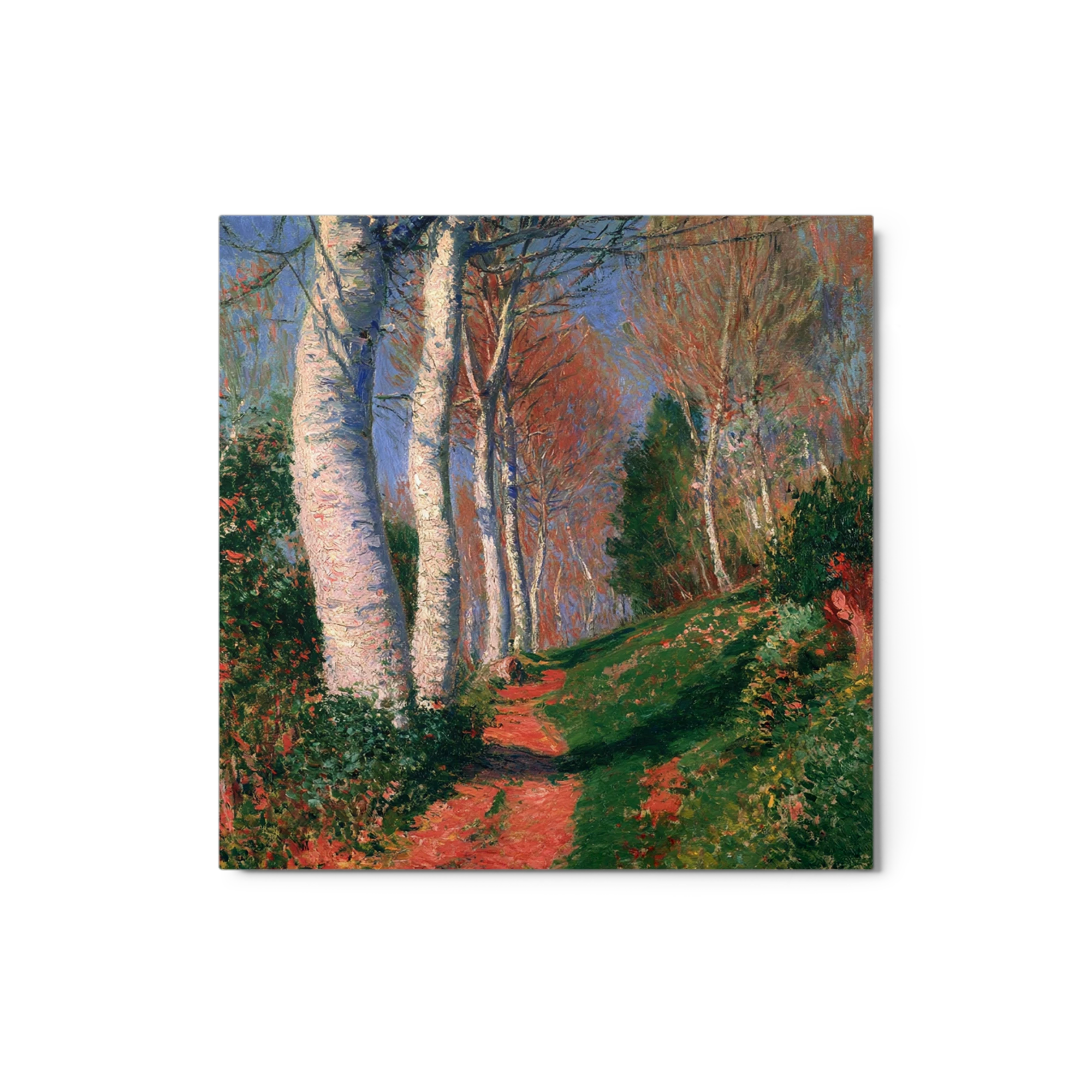 Autumn Path in the Forest