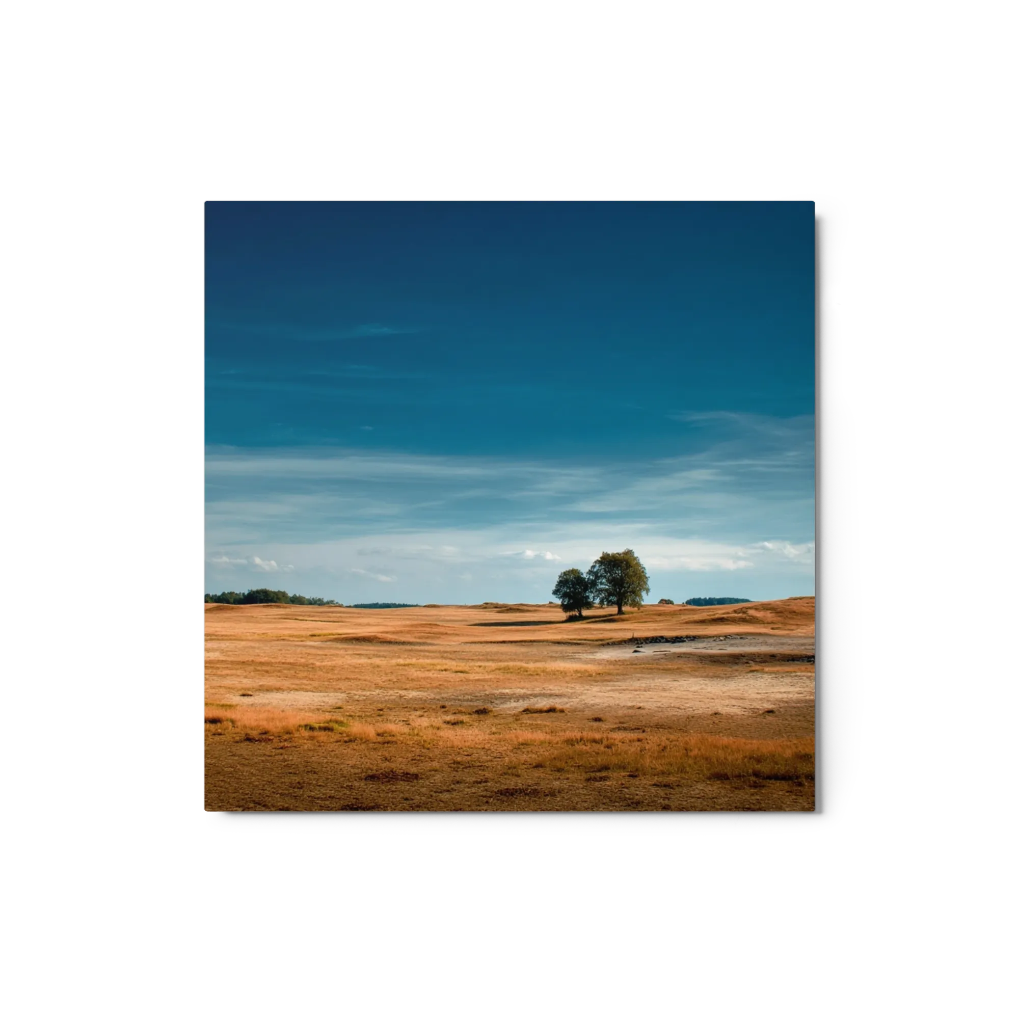 Solitary Horizon