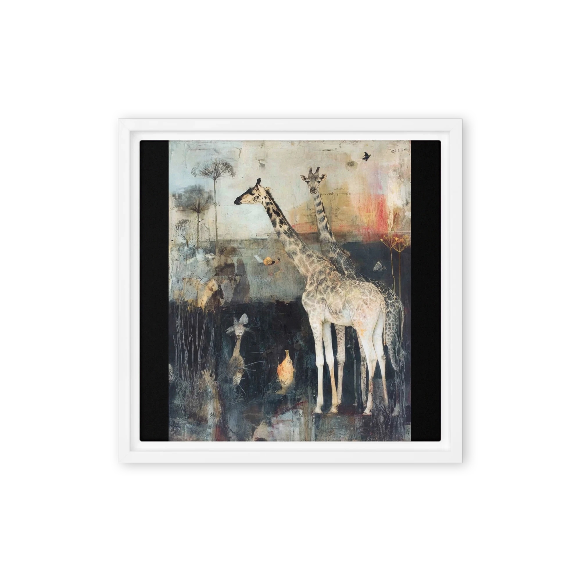 Silent Savanna Giraffes
