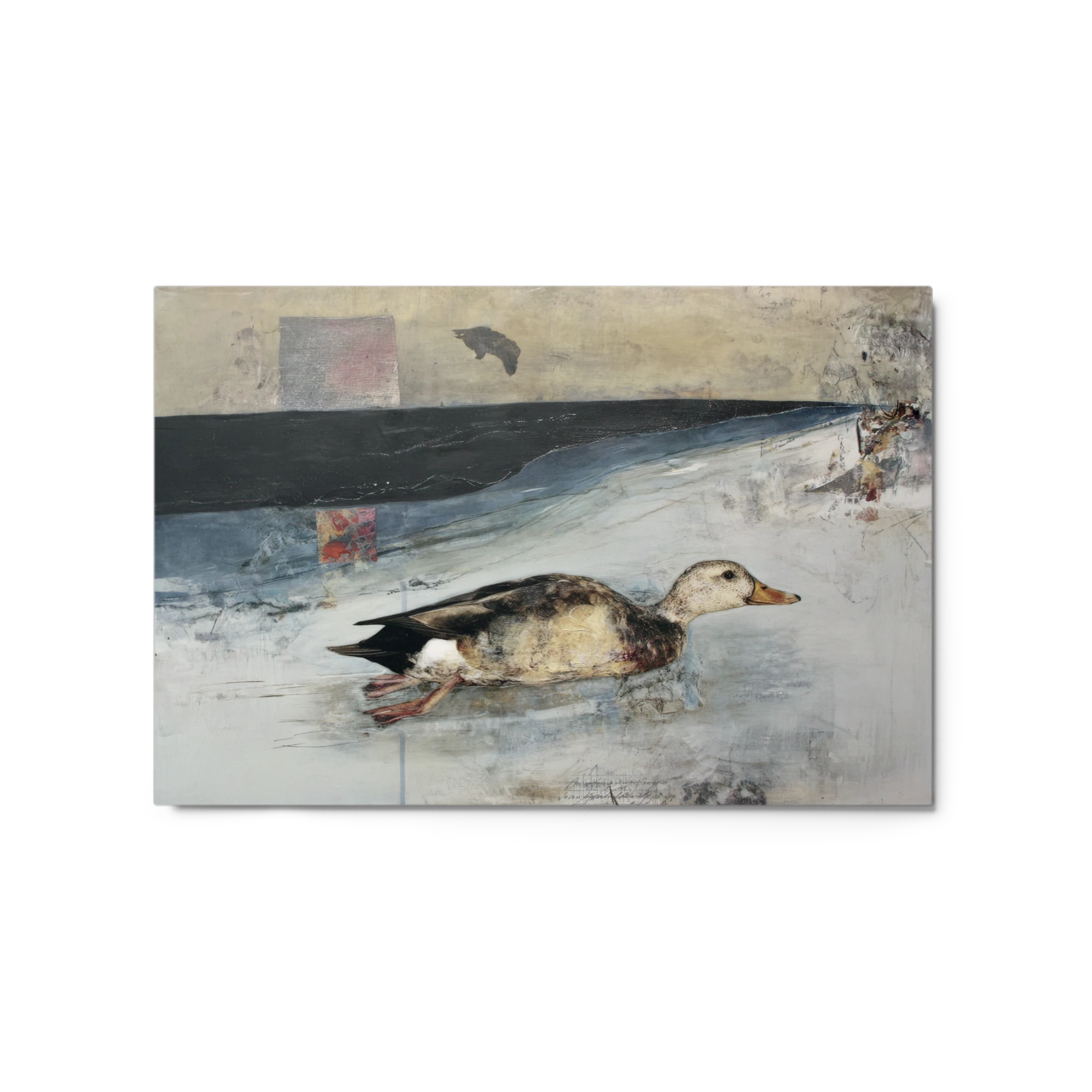 Solitary Duck in Winter