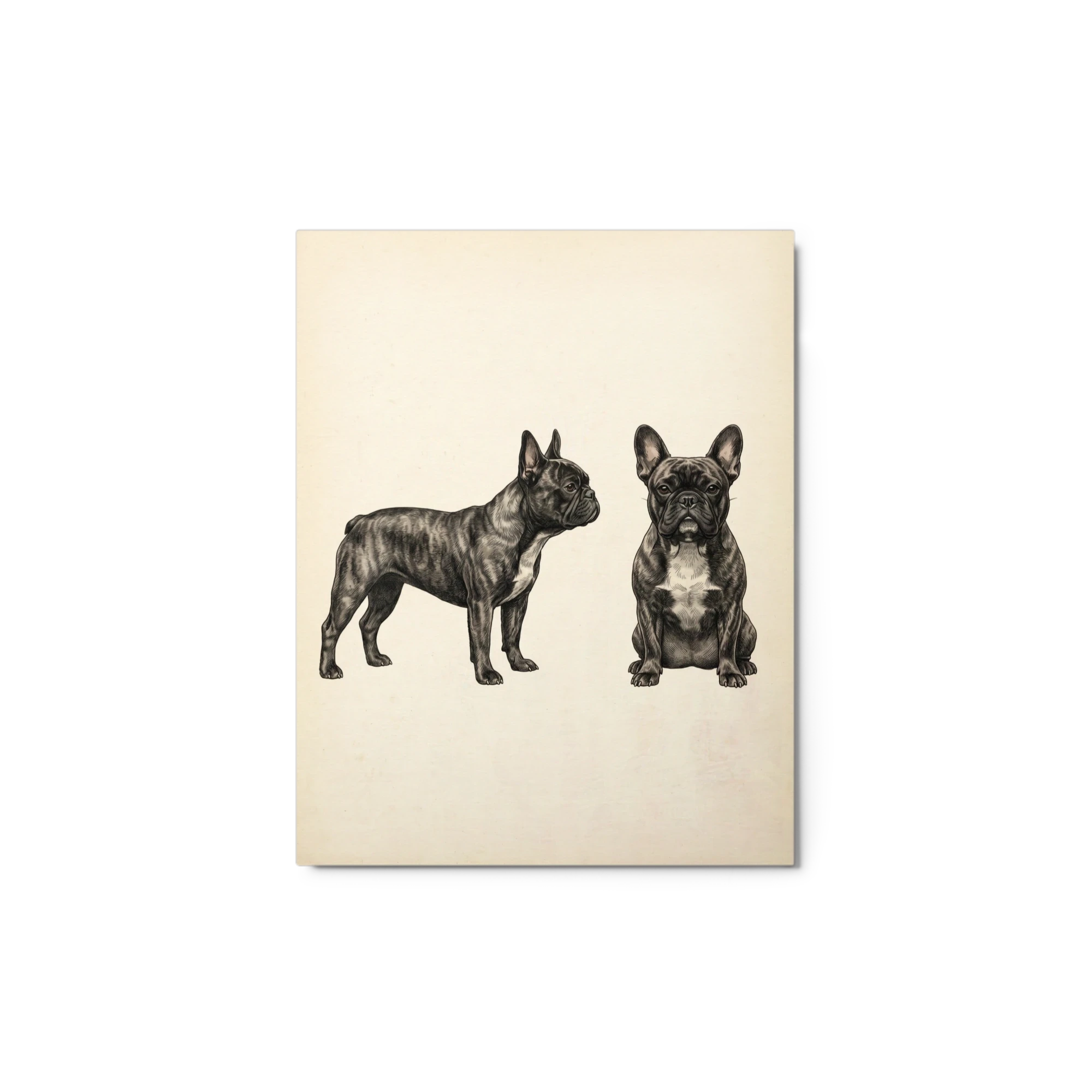 Pet Portrait — Vintage Engraving