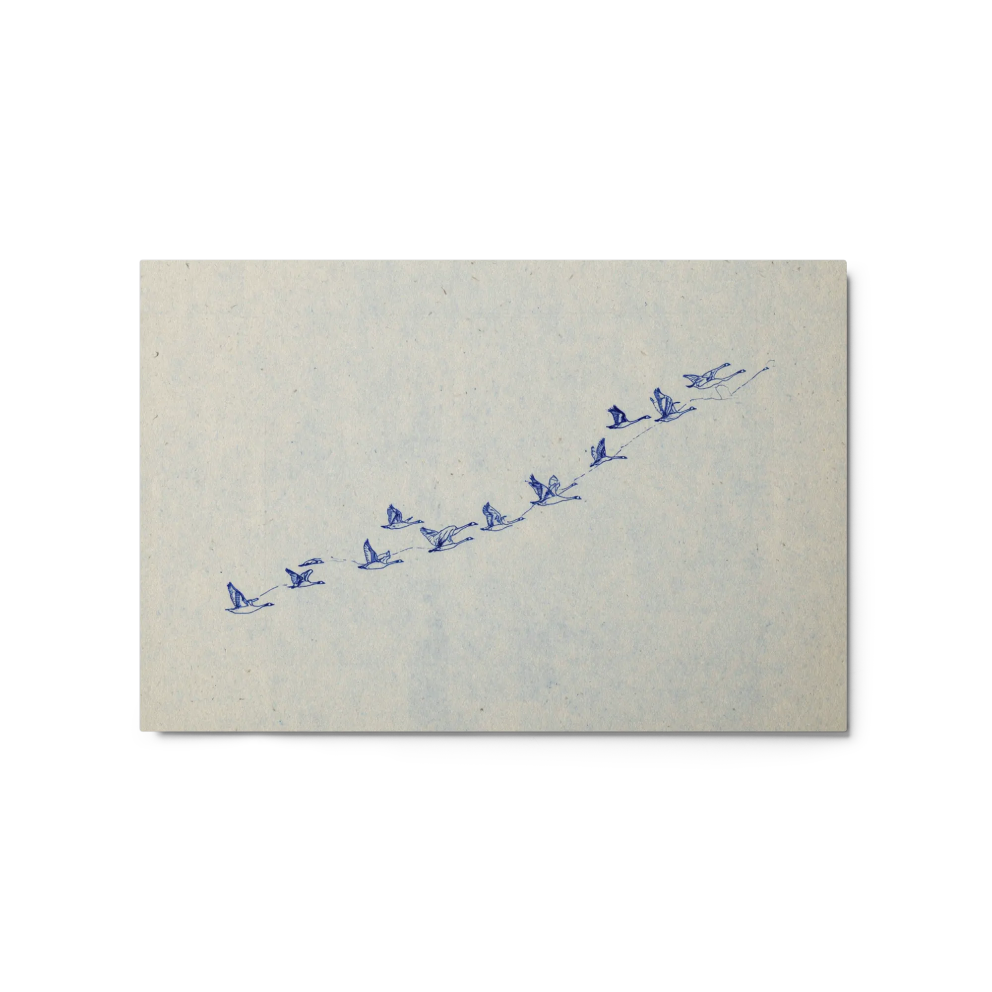 The Migration