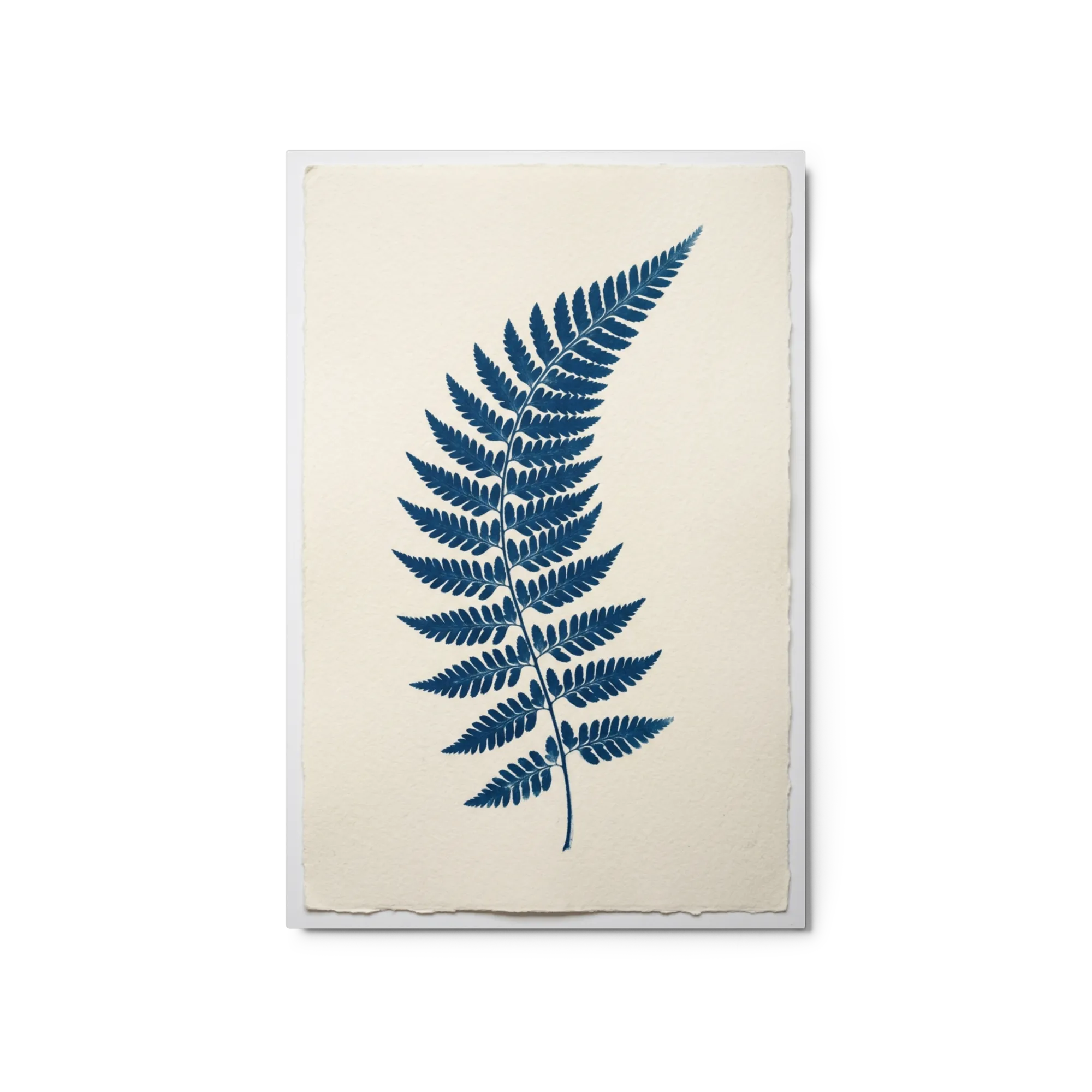 Prussian Blue Fern