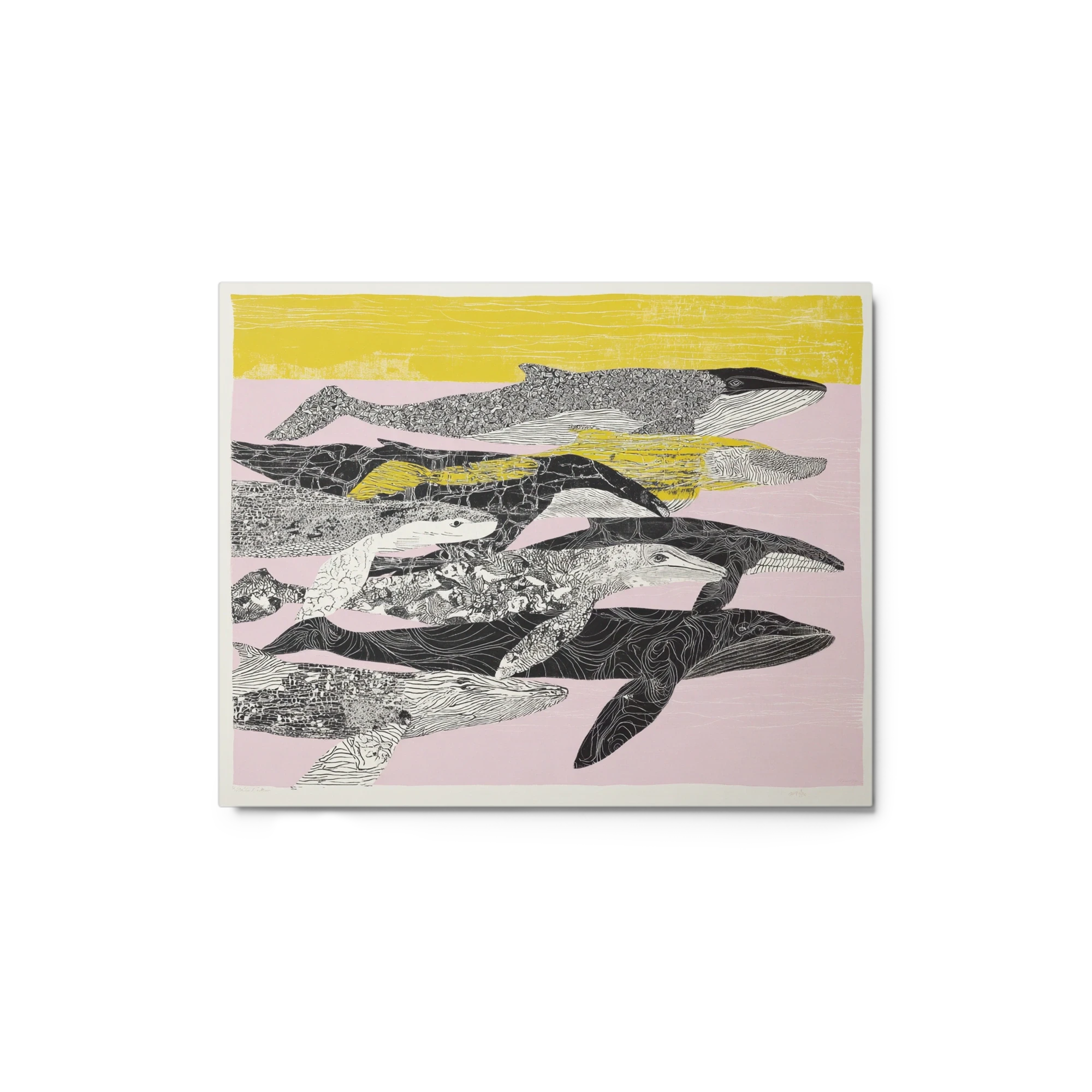 Whales in Pattern