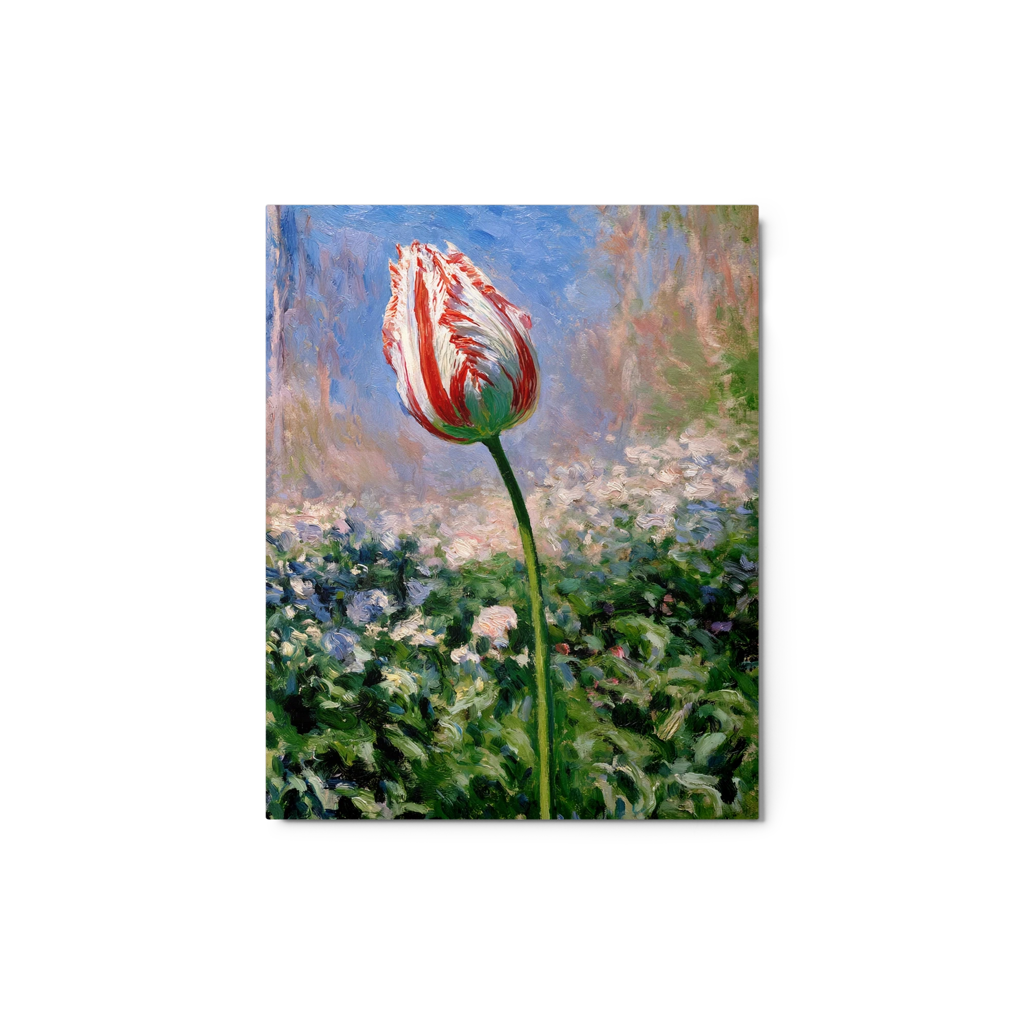 The Red Tulip