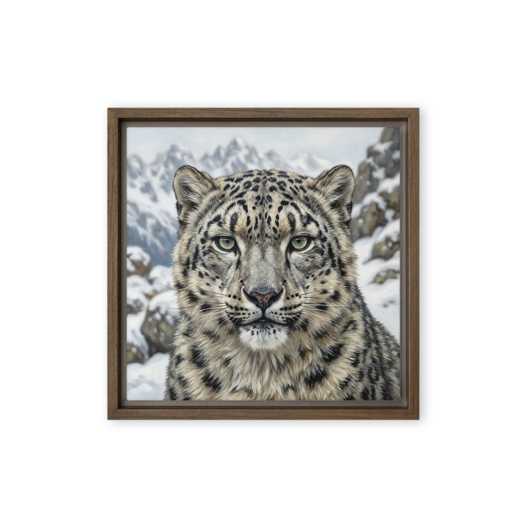 Gaze of the Snow Leopard | Art Print