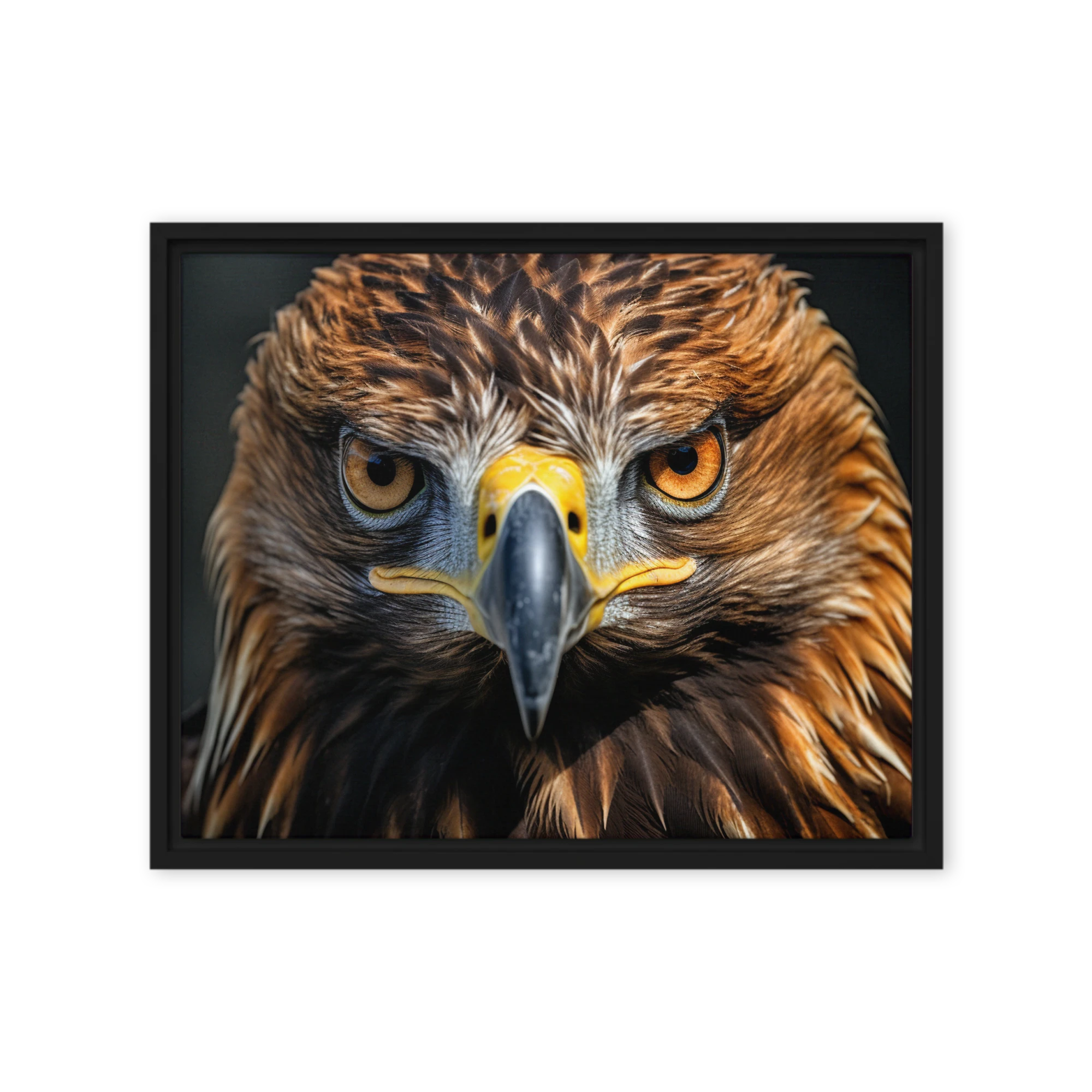 Gaze of the Golden Eagle | Art Print