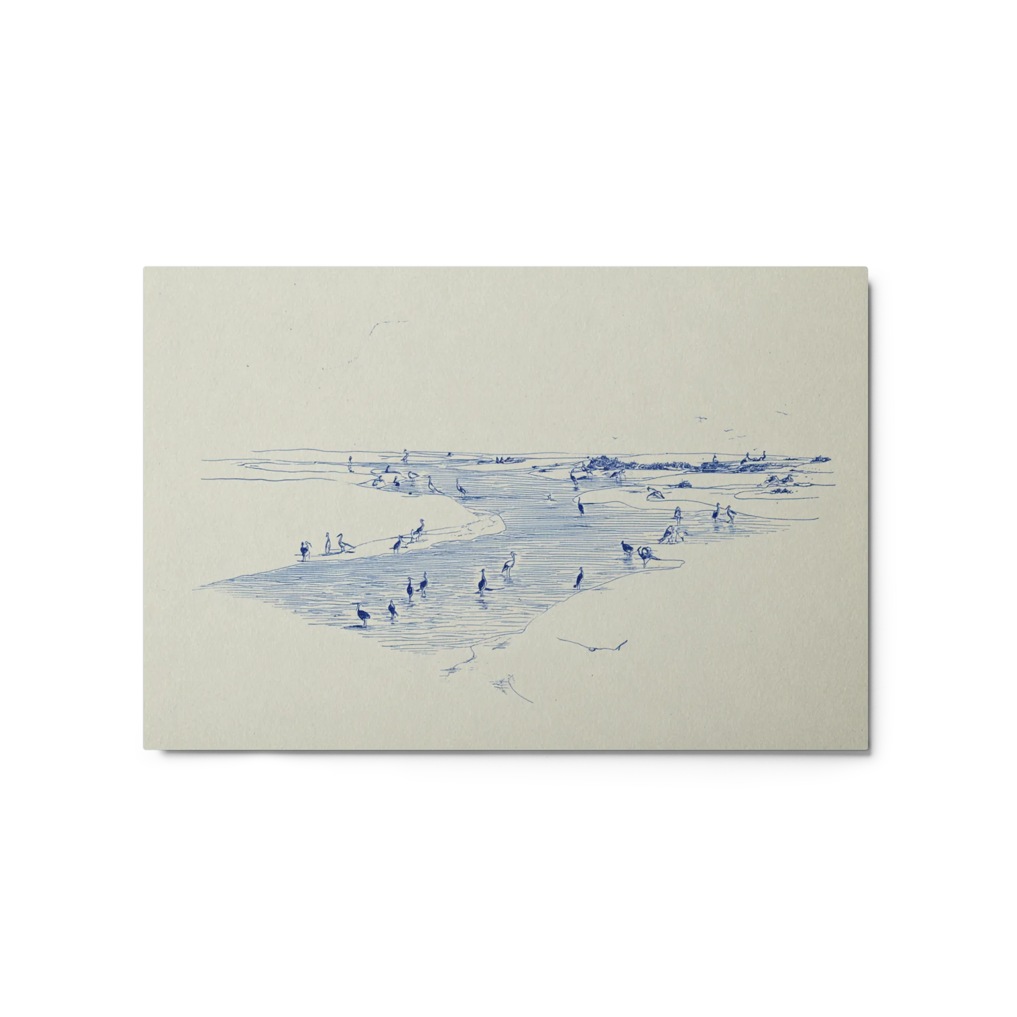 Estuary Waders