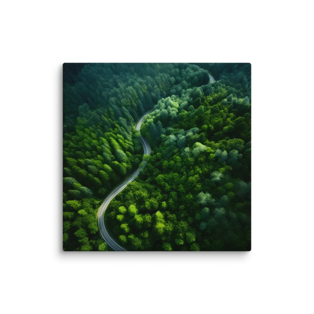Winding Forest Road 
 Canvas | 36″x 36″