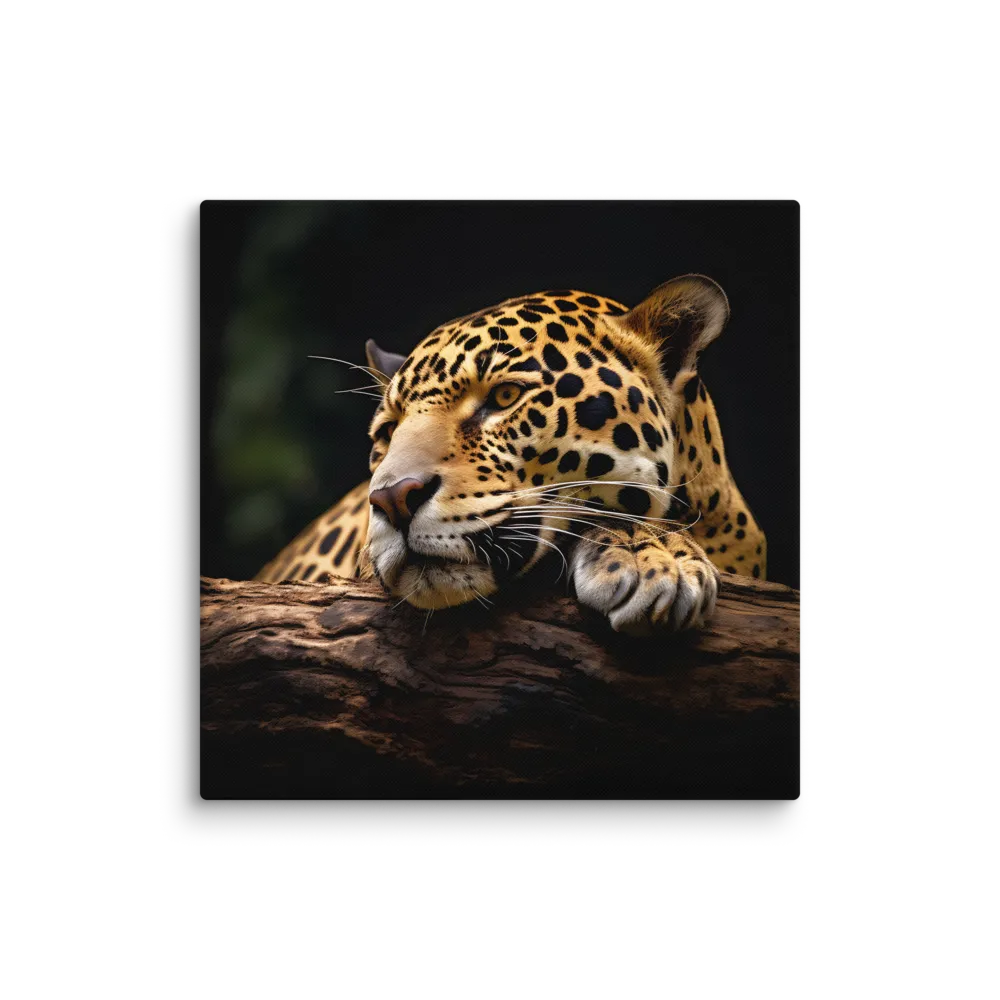 Pondering Jaguar 
 Canvas | 37″x 37″