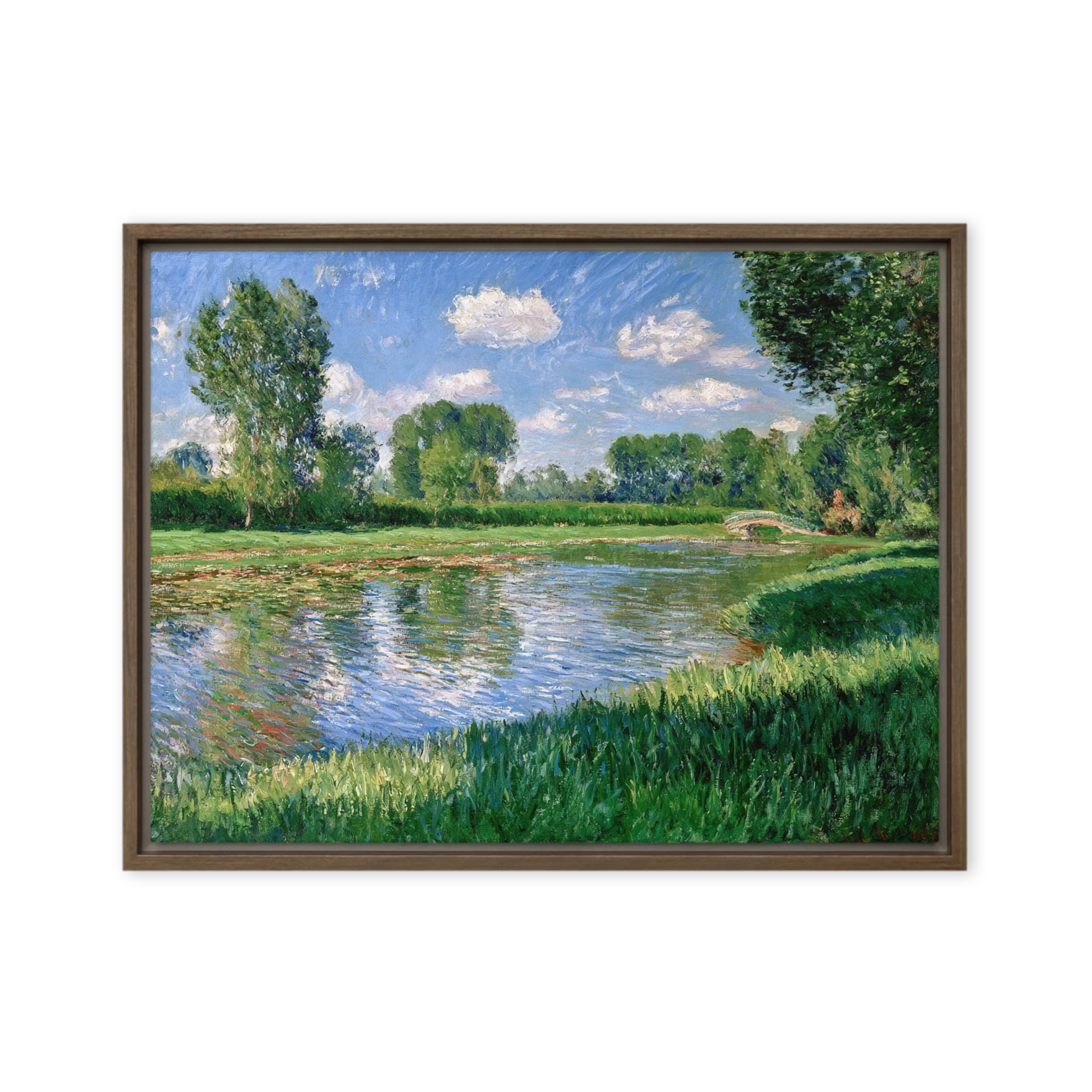 The Water Lily Pond