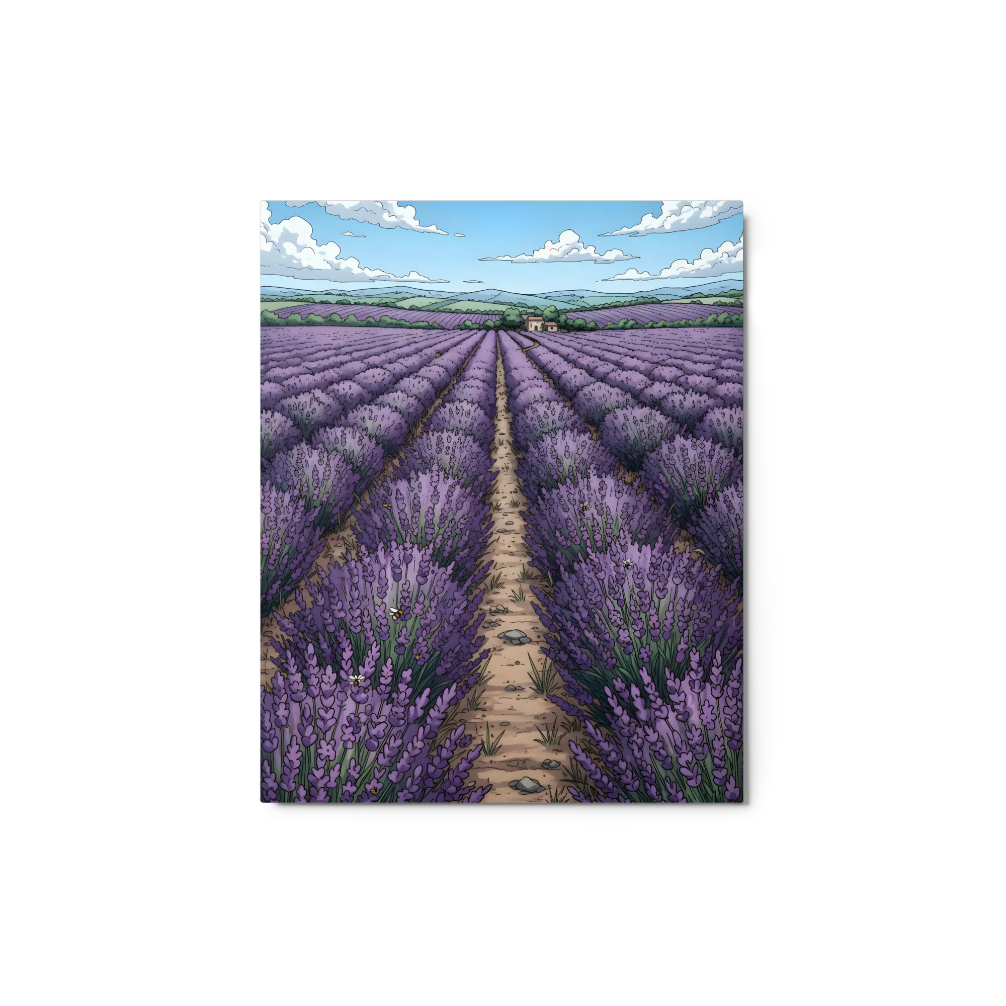 Provence Lavender Field