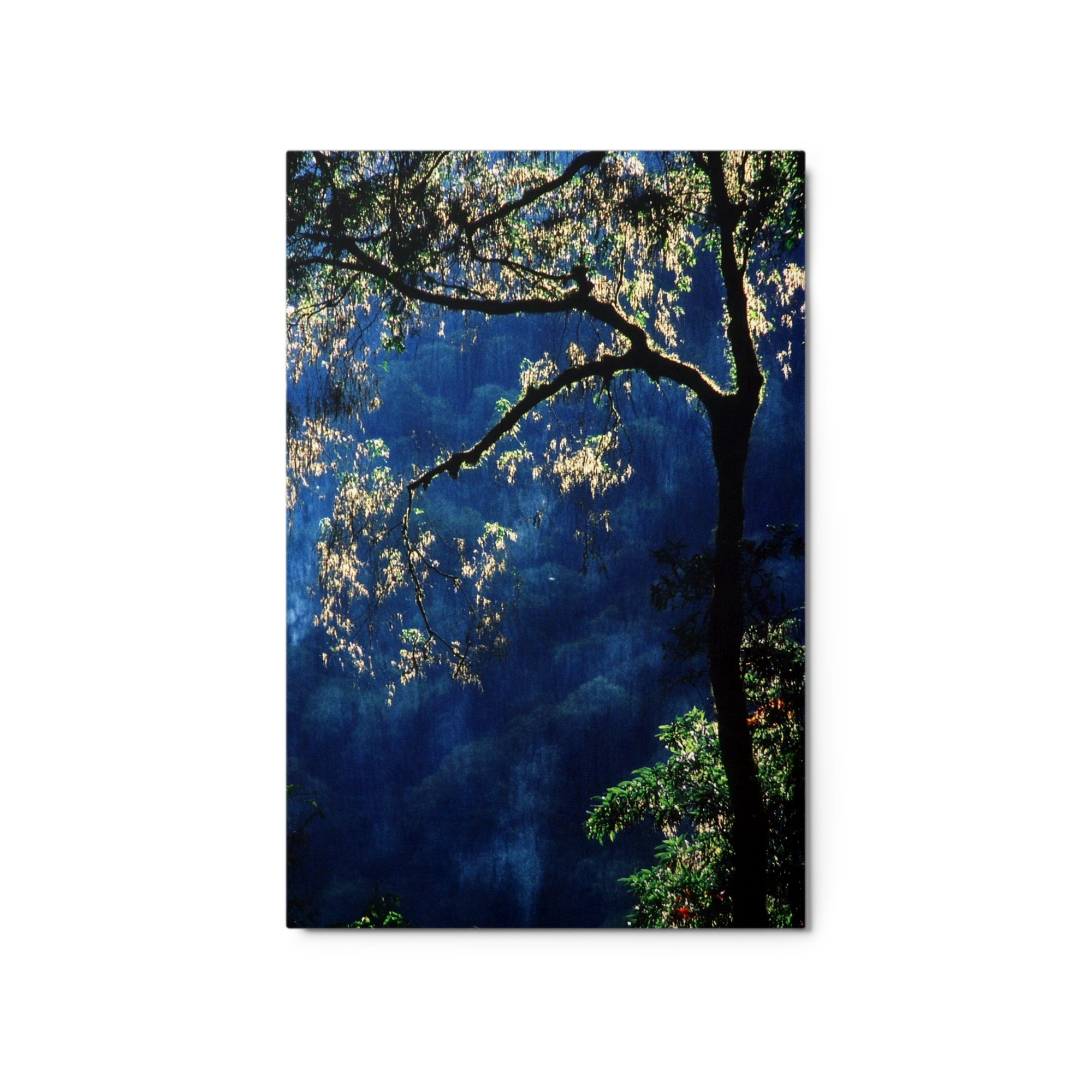 Silhouetted Tree in Blue Landscape