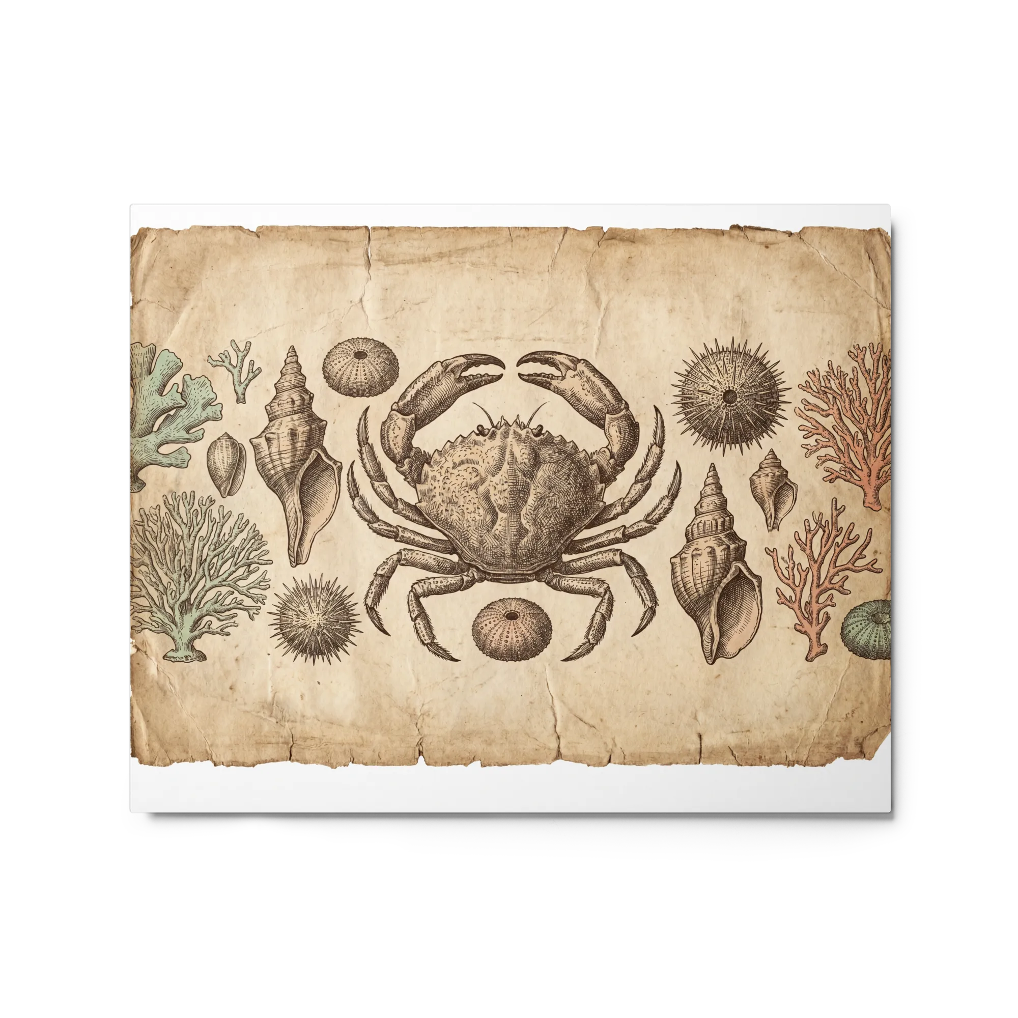 Vintage Marine Engraving 
 Paper Print With White Frame & Mat | 18″x 24″