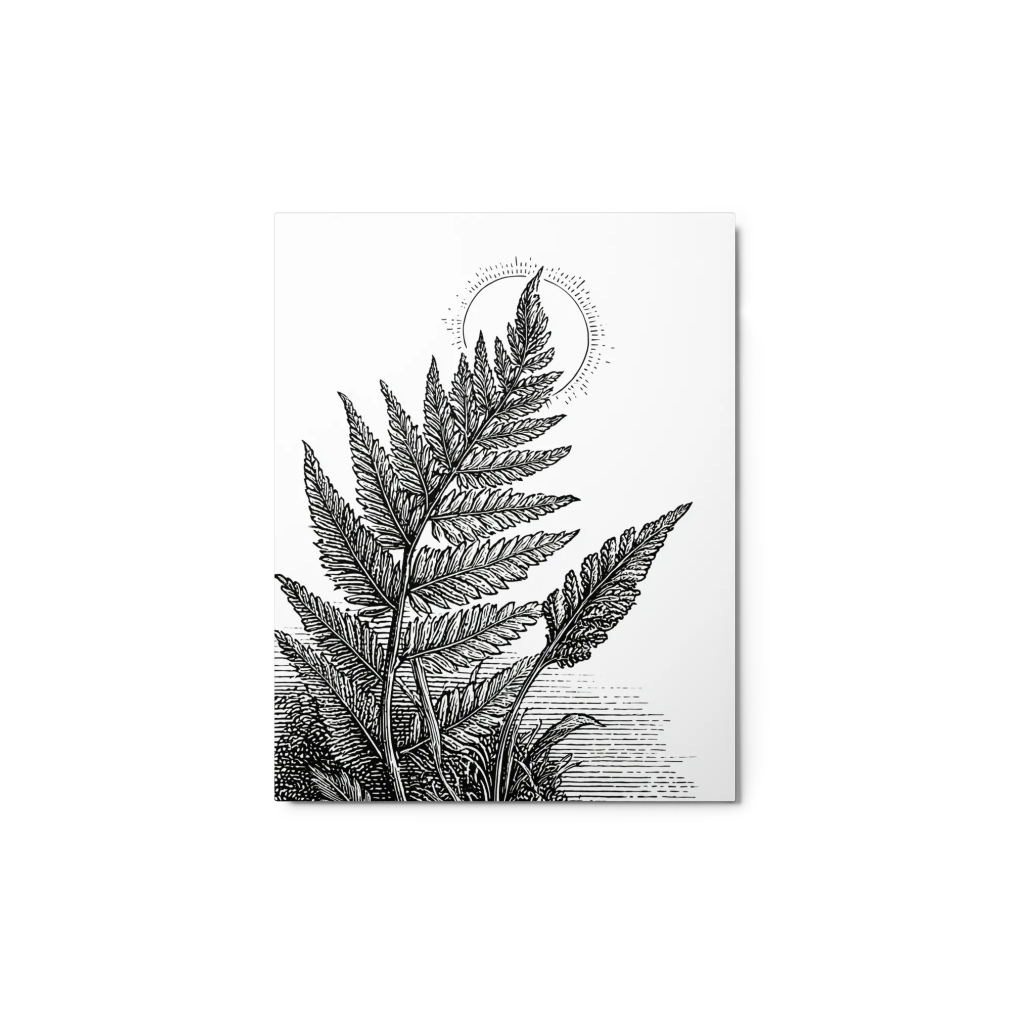 Solar Fern