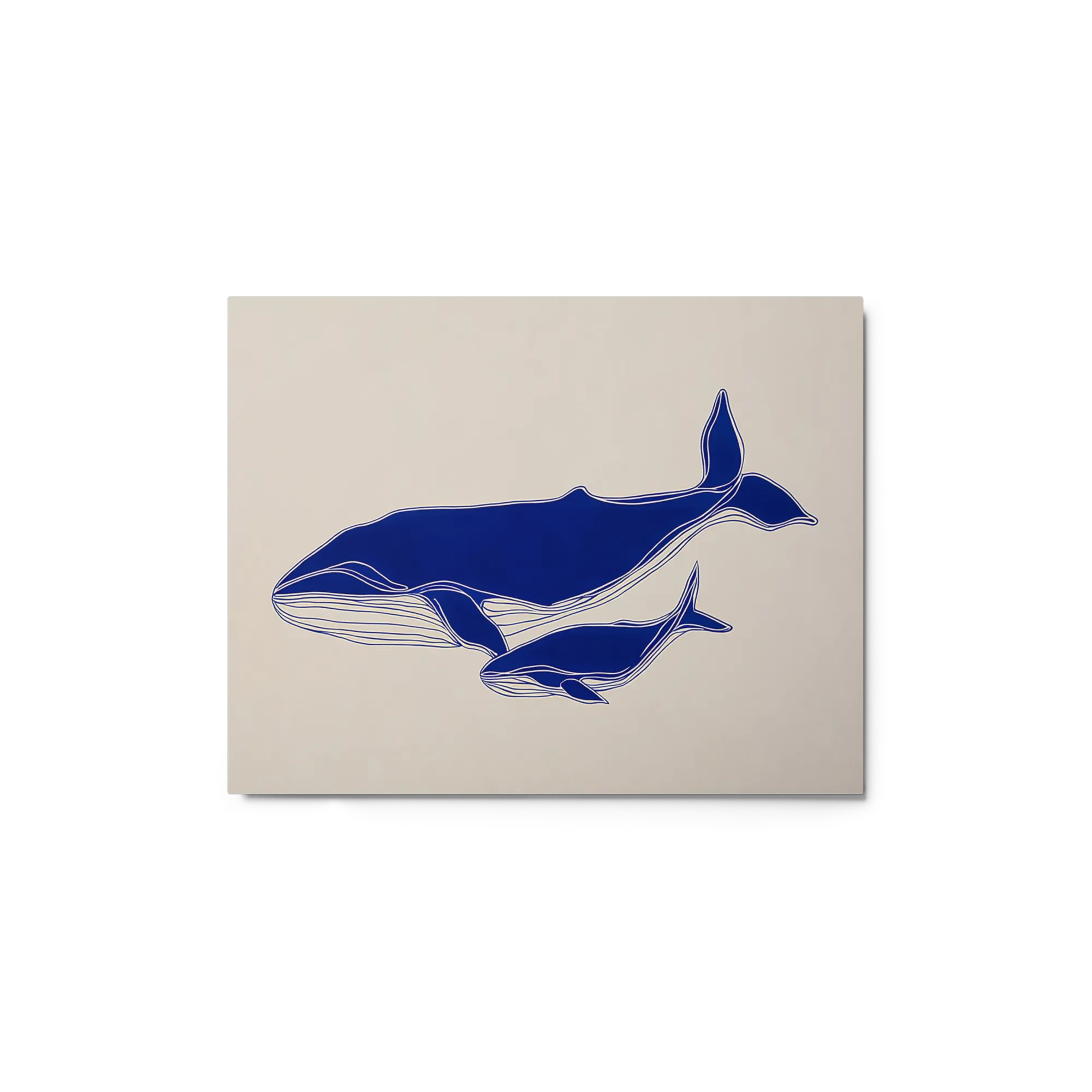 Ocean Matriarch