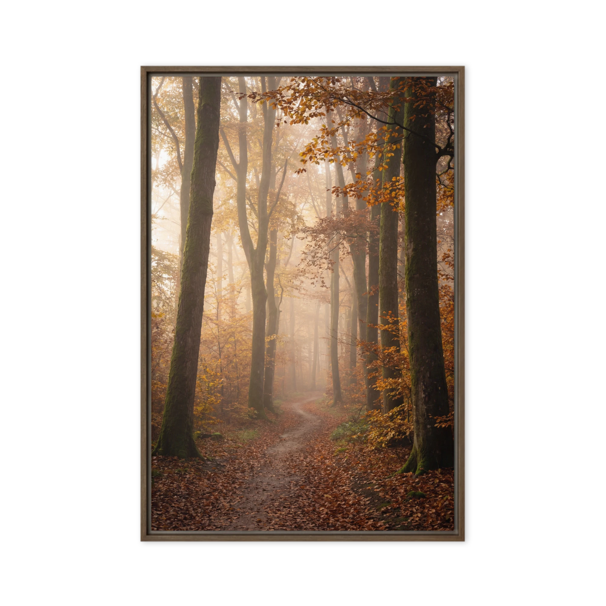 Enchanted Autumn Fog