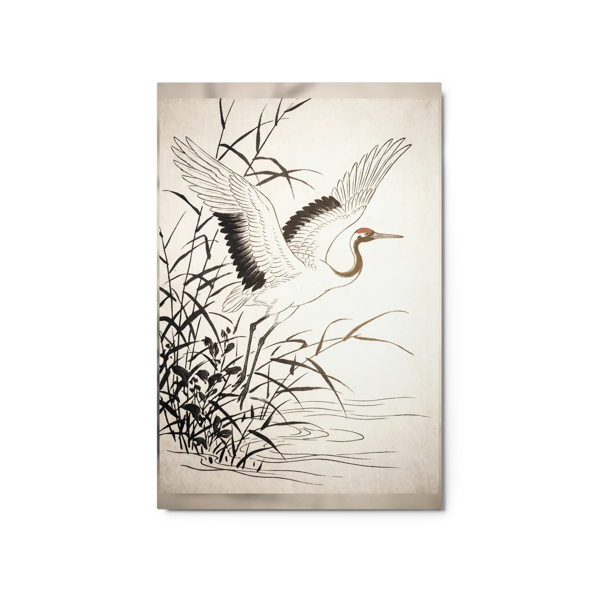 The Soaring Crane 
 Poster with Red oak Frame | 8″x 10″